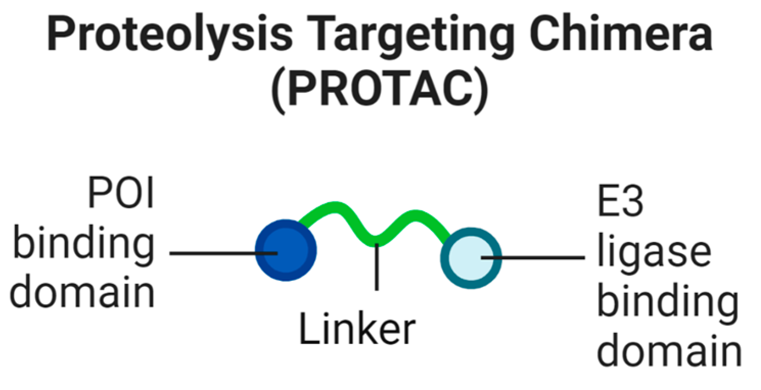 Biomolecules 13 01164 g001