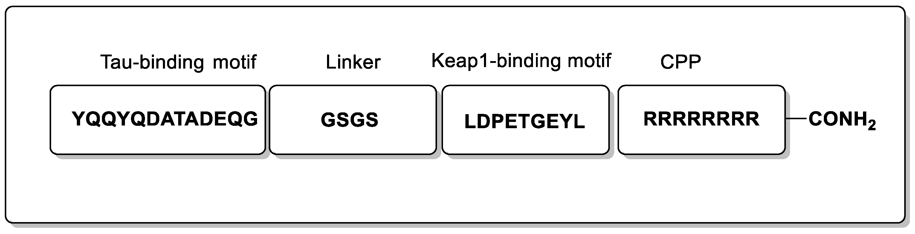 Biomolecules 13 01164 g005