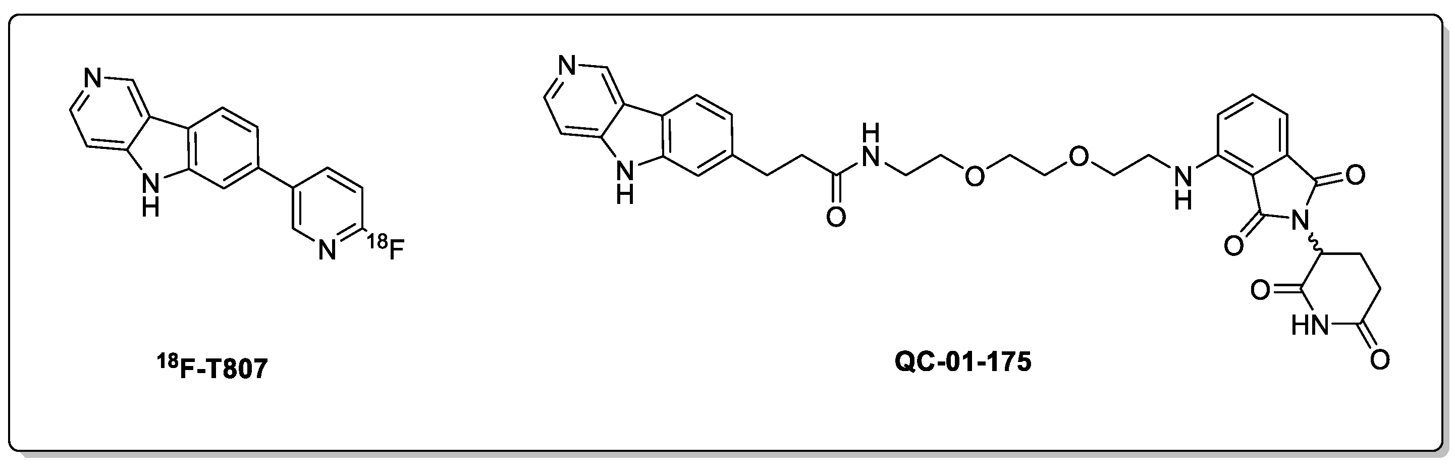 Biomolecules 13 01164 g006