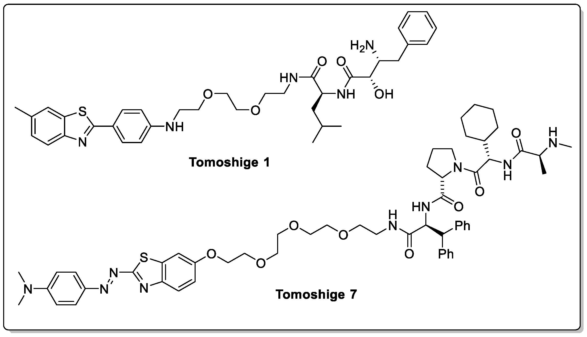 Biomolecules 13 01164 g009