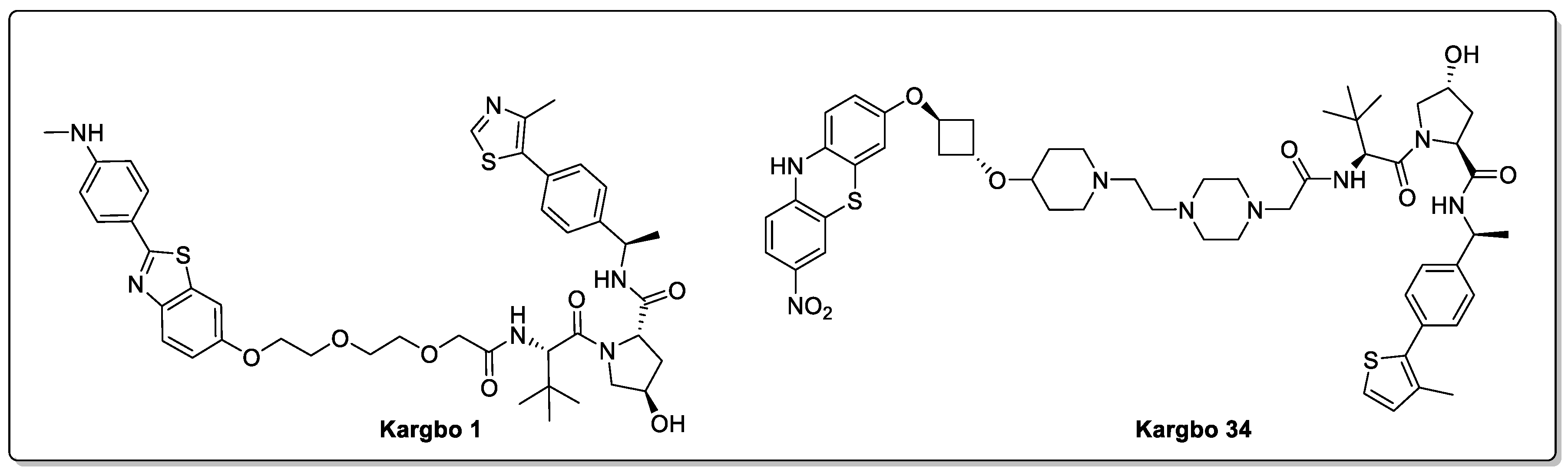 Biomolecules 13 01164 g011
