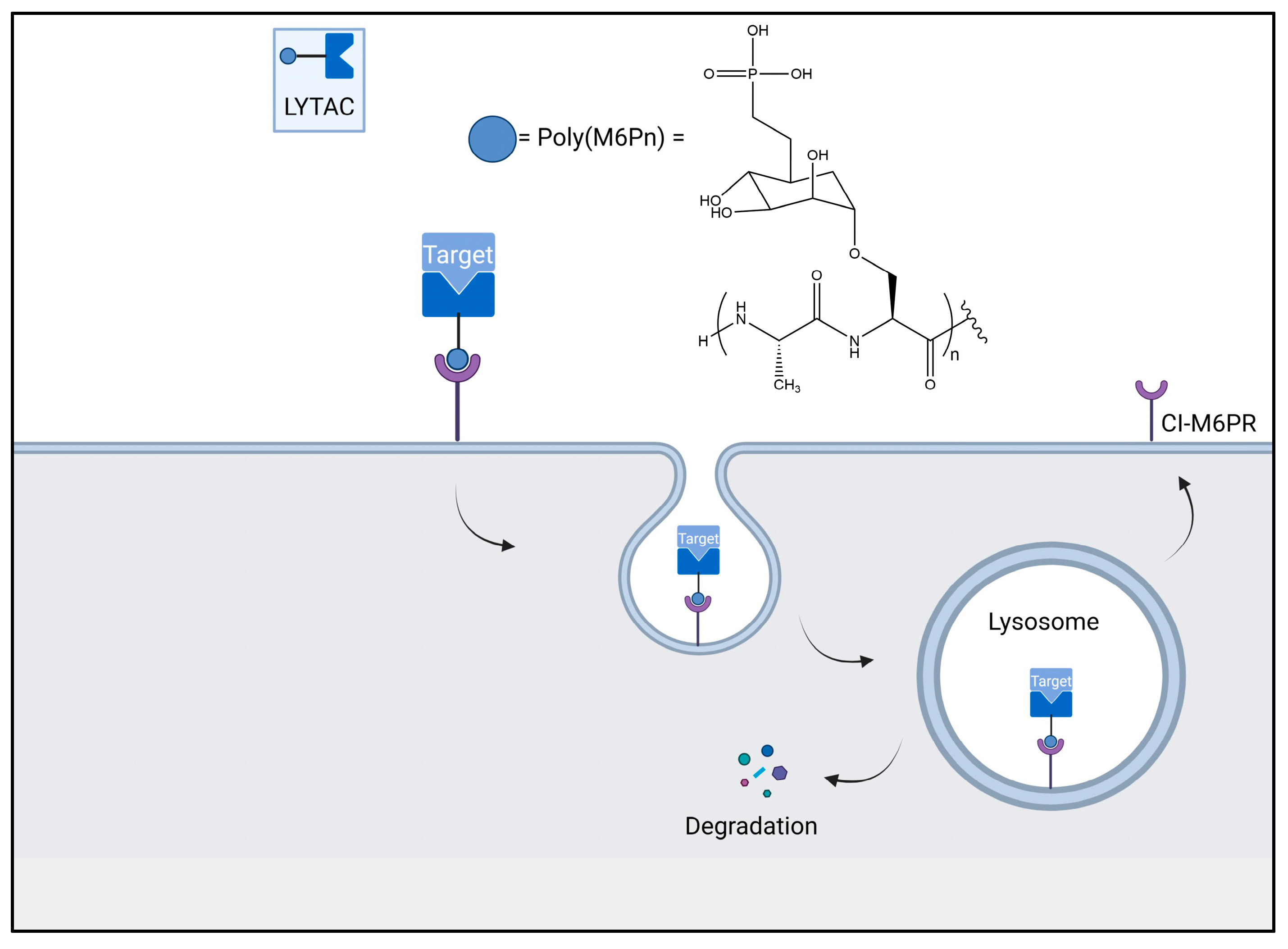 Biomolecules 13 01164 g015