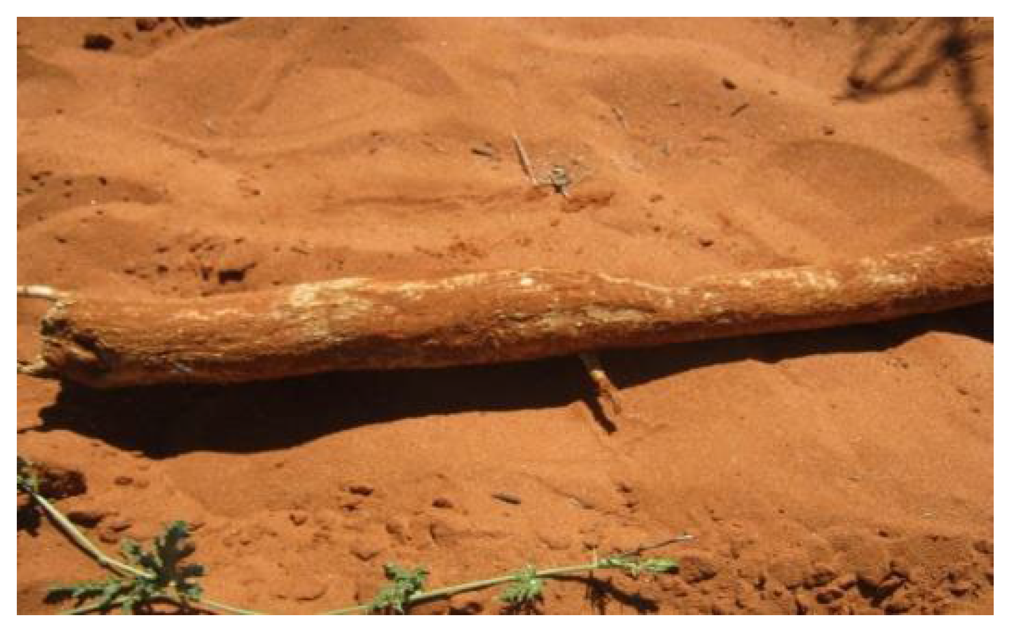 Biomolecules 13 01168 g001