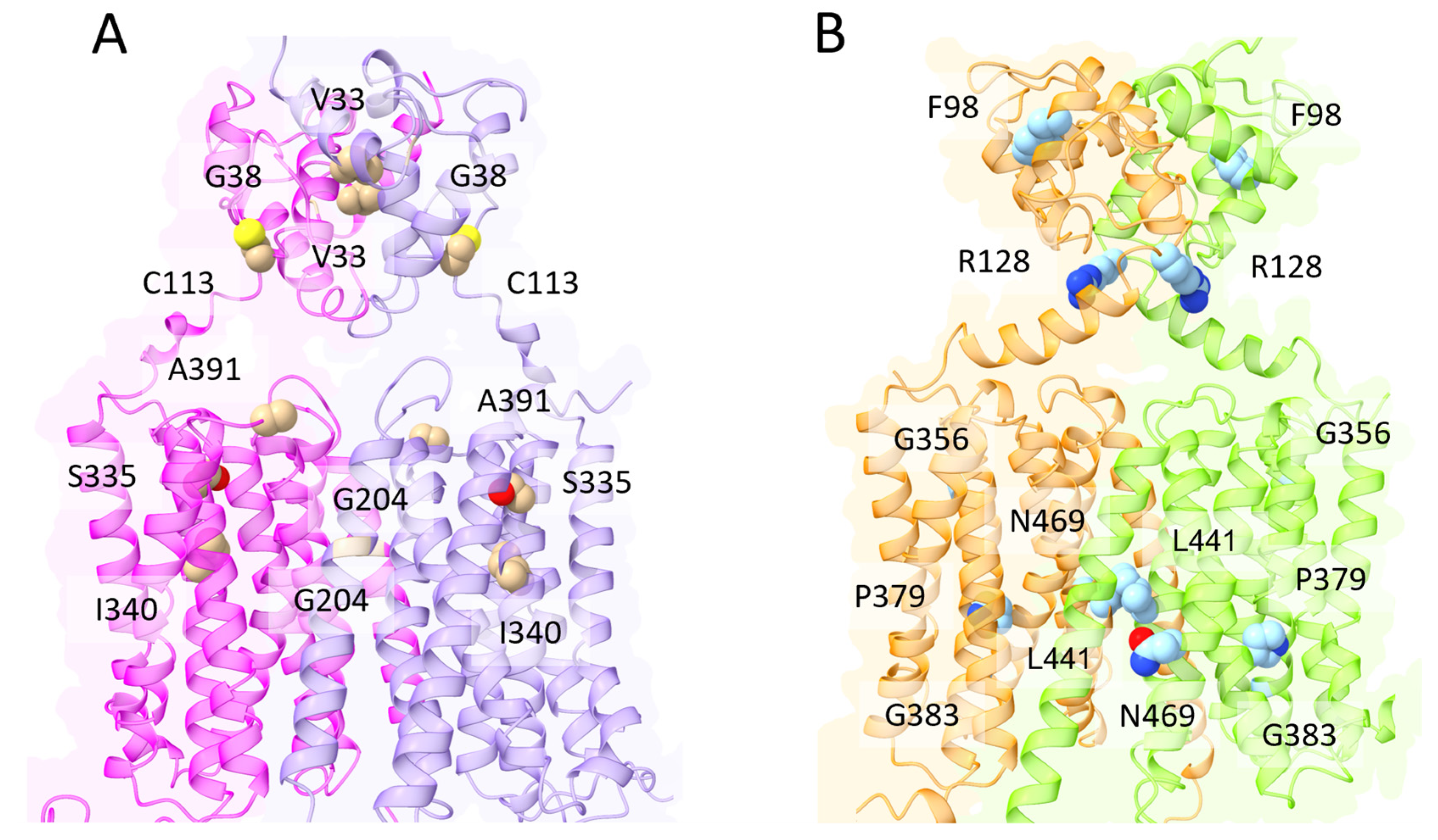 Biomolecules 13 01172 g005