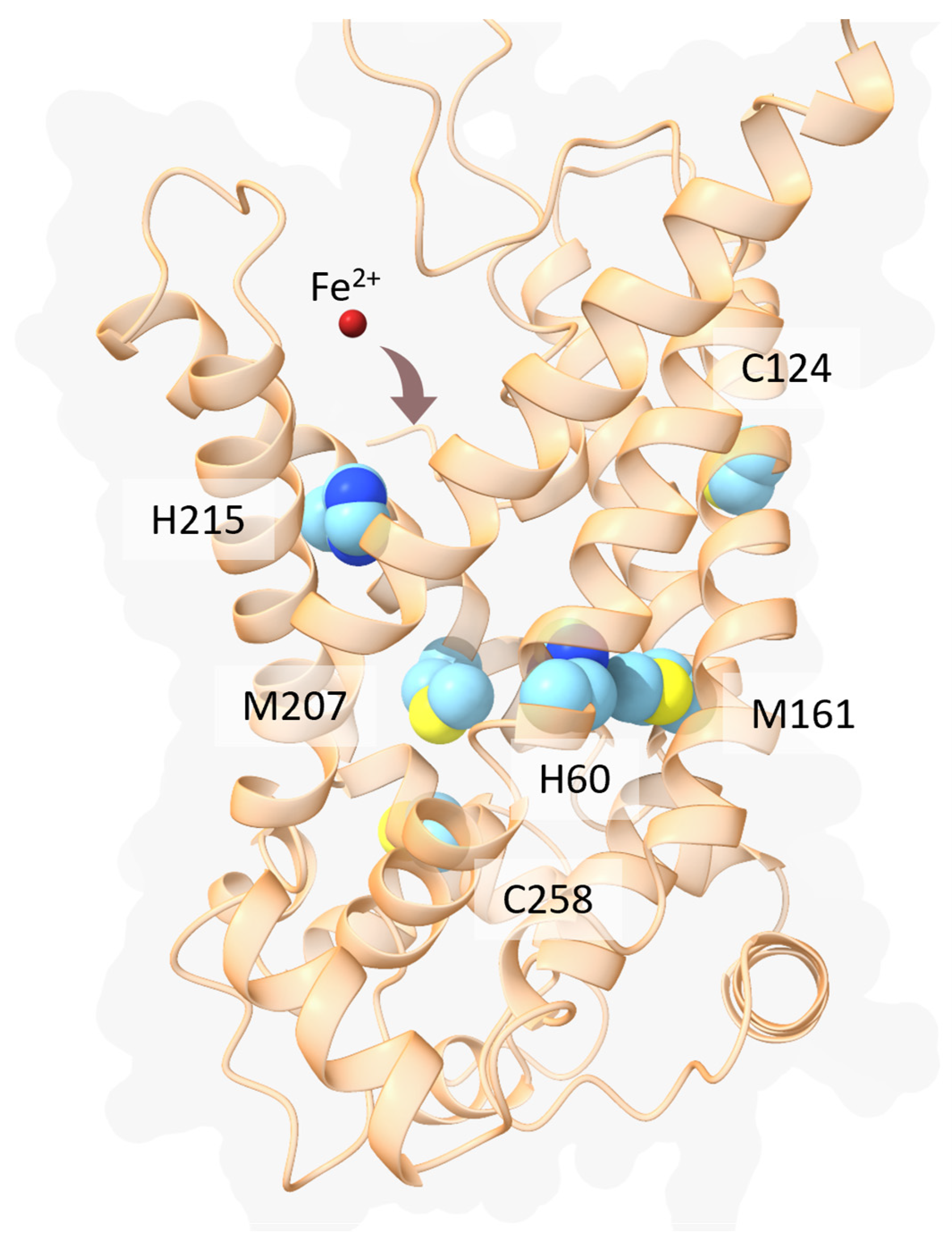 Biomolecules 13 01172 g006