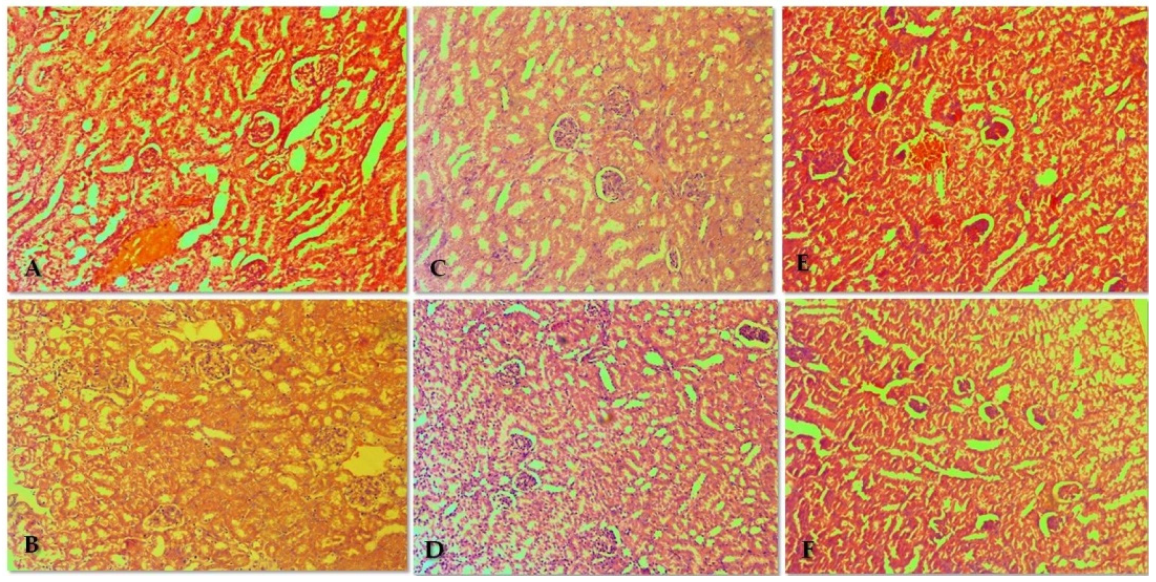 Biomolecules 13 01174 g005 Biomolecules 13 01174 g005