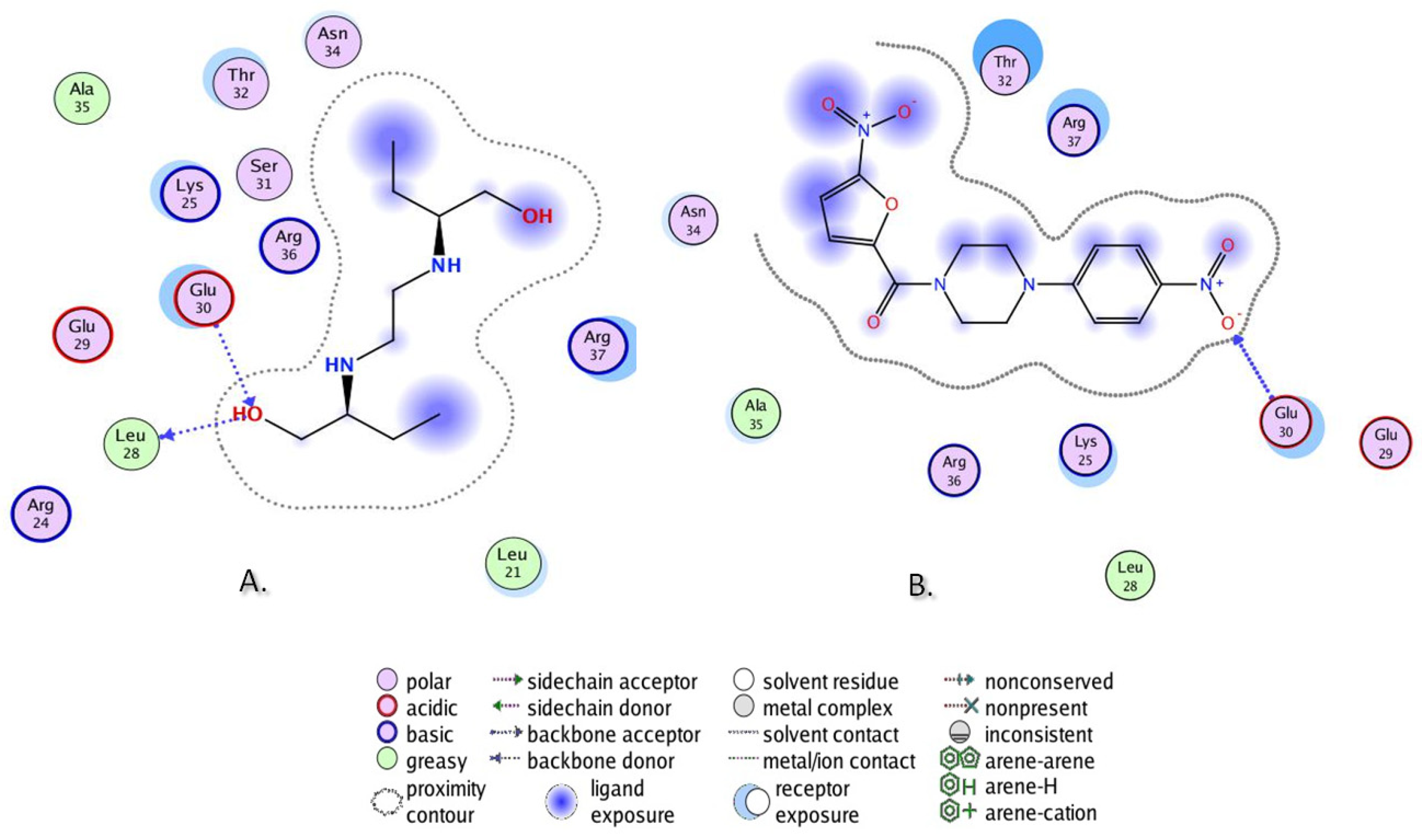 Biomolecules 13 01174 g013 Biomolecules 13 01174 g013