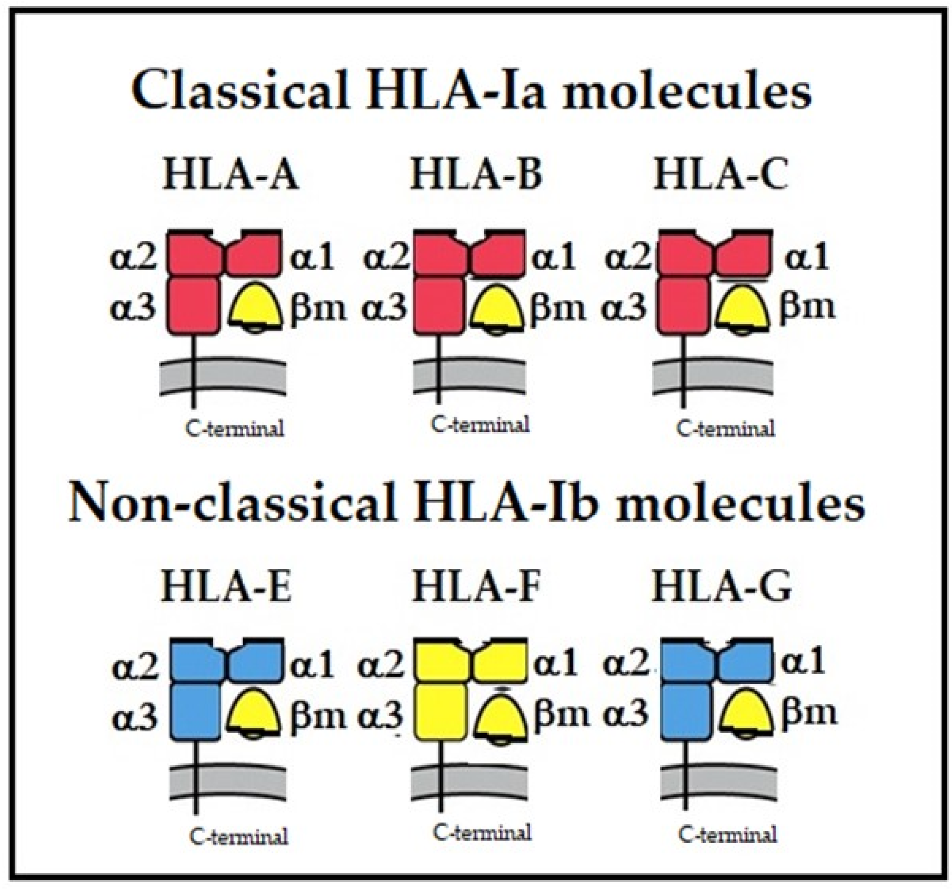 Biomolecules 13 01178 g001 Biomolecules 13 01178 g001