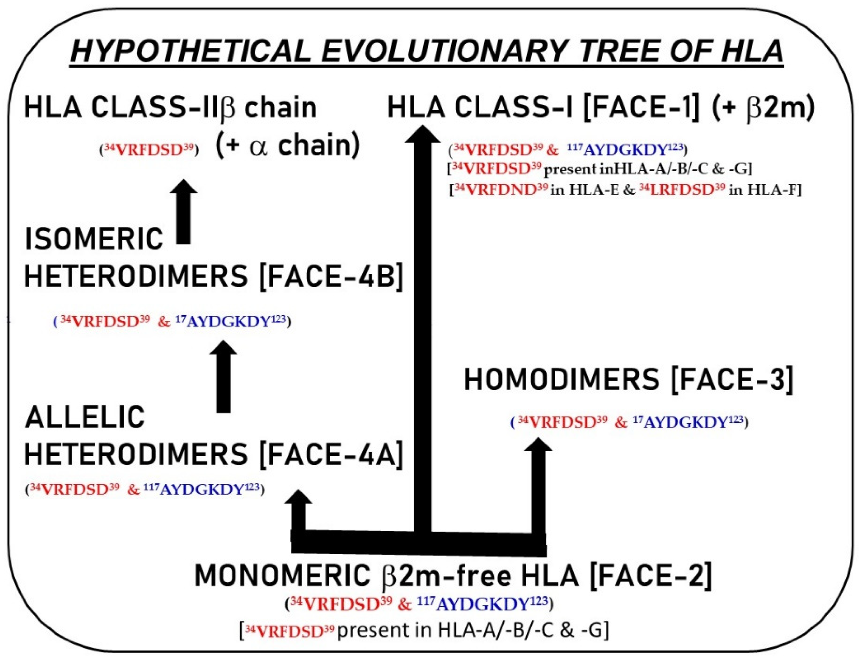 Biomolecules 13 01178 g007 Biomolecules 13 01178 g007