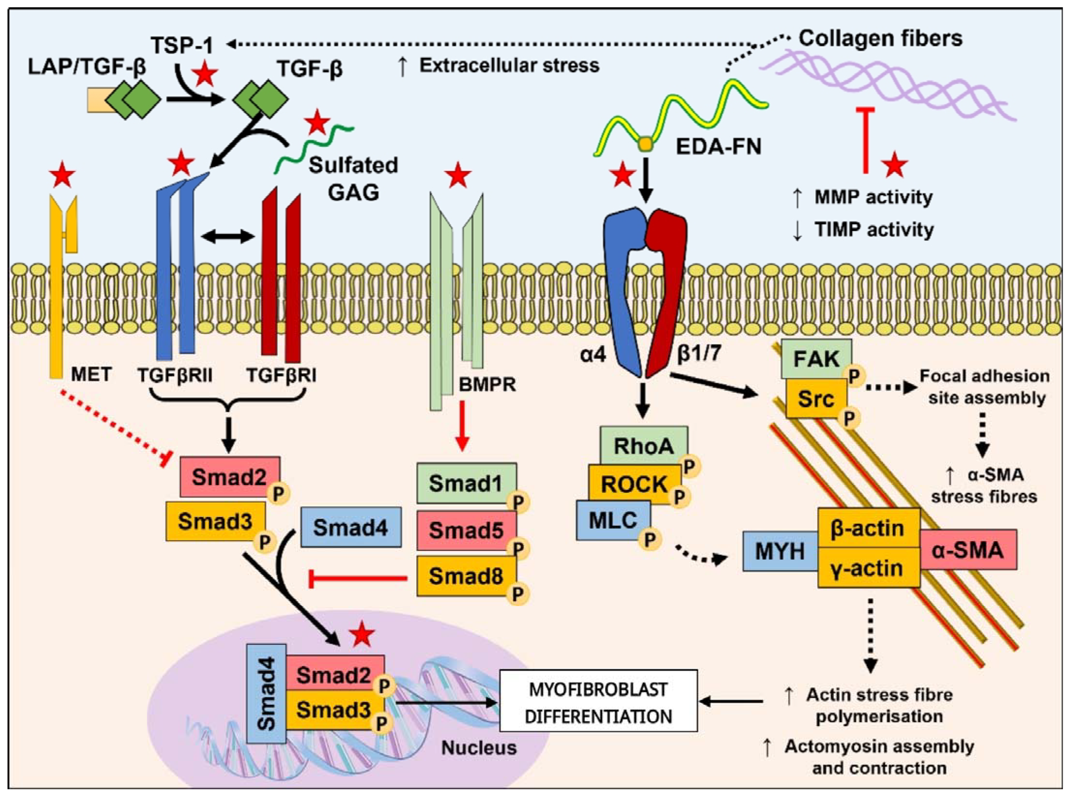 Biomolecules 13 01179 g001