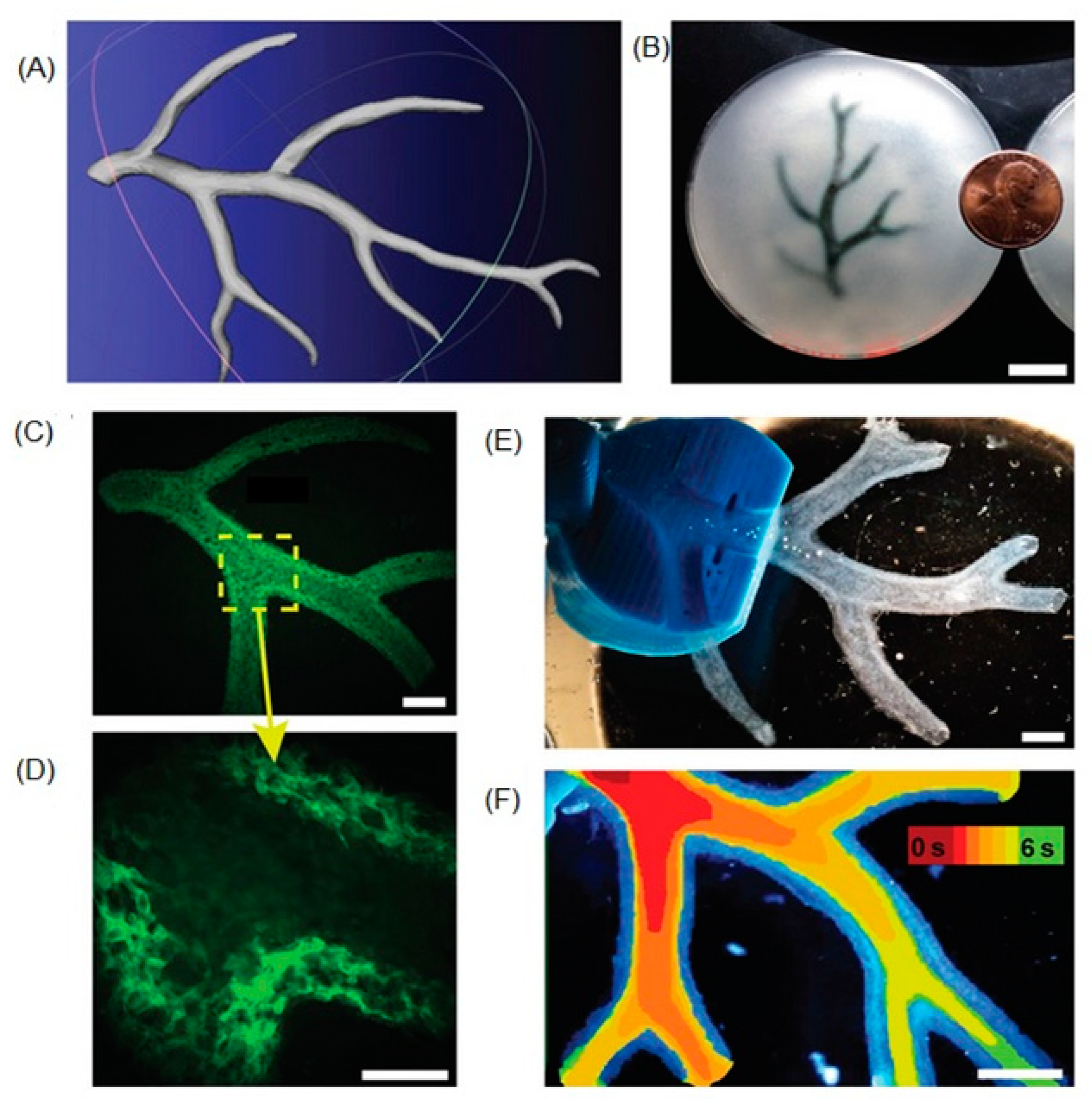 Biomolecules 13 01180 g004