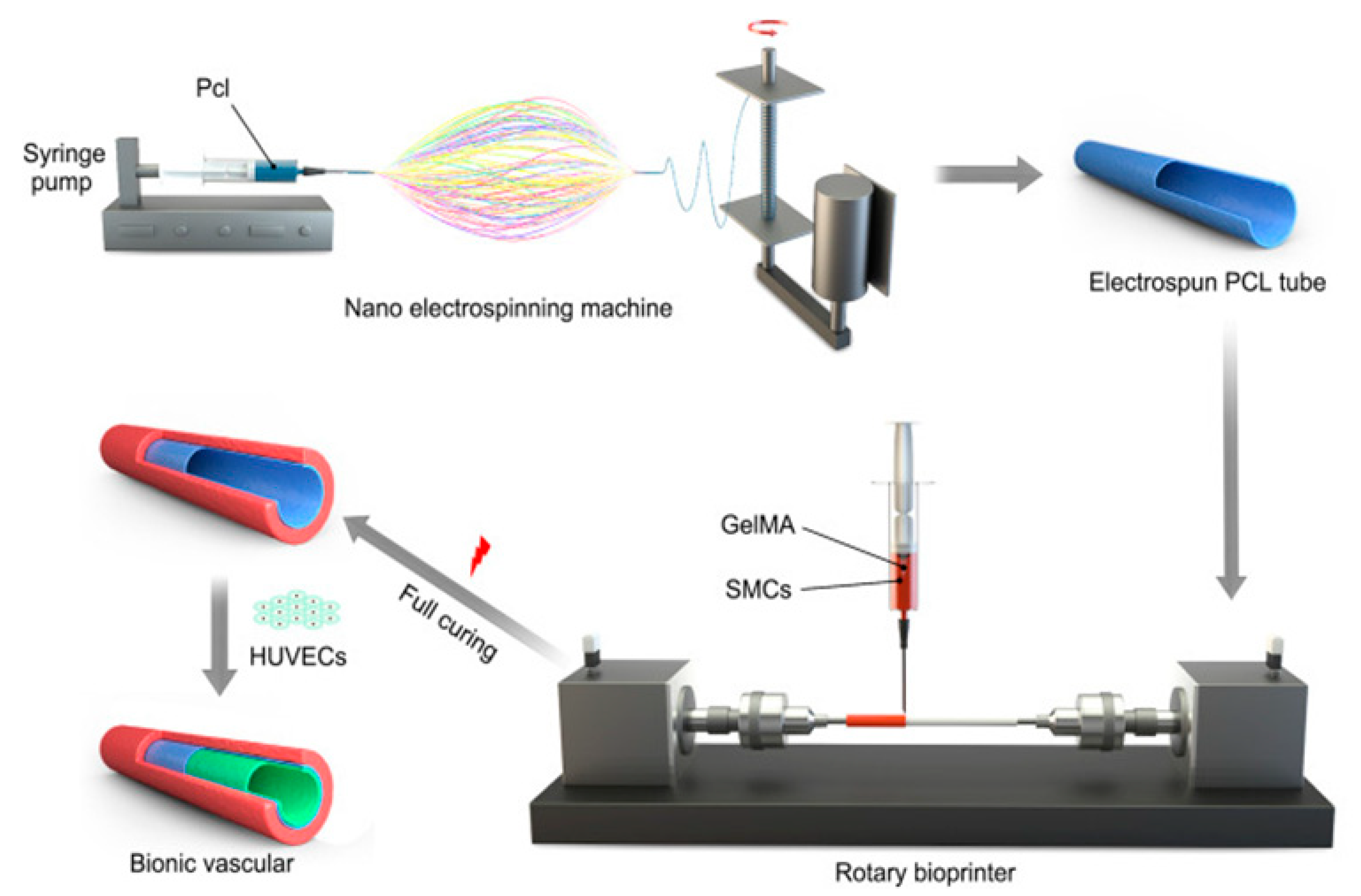 Biomolecules 13 01180 g007