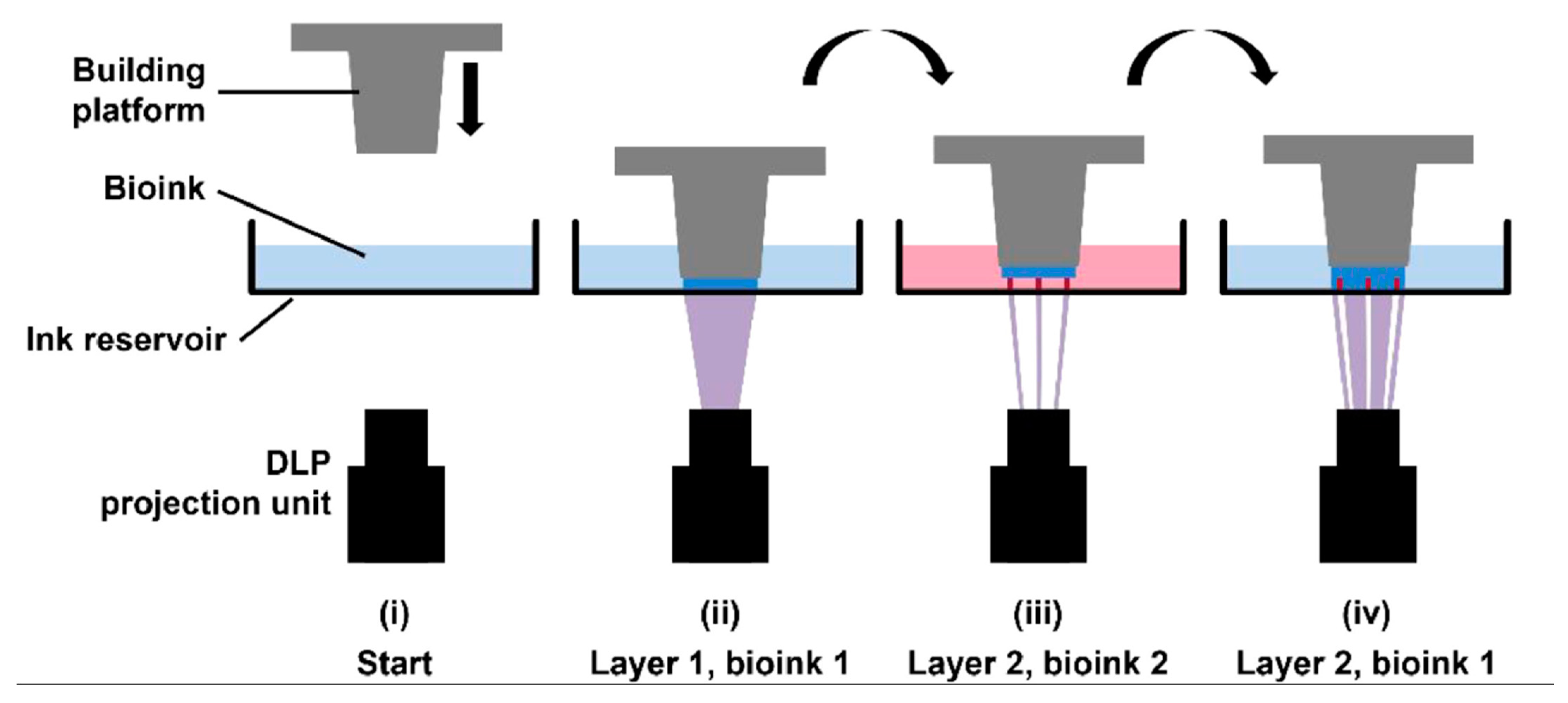Biomolecules 13 01180 g008