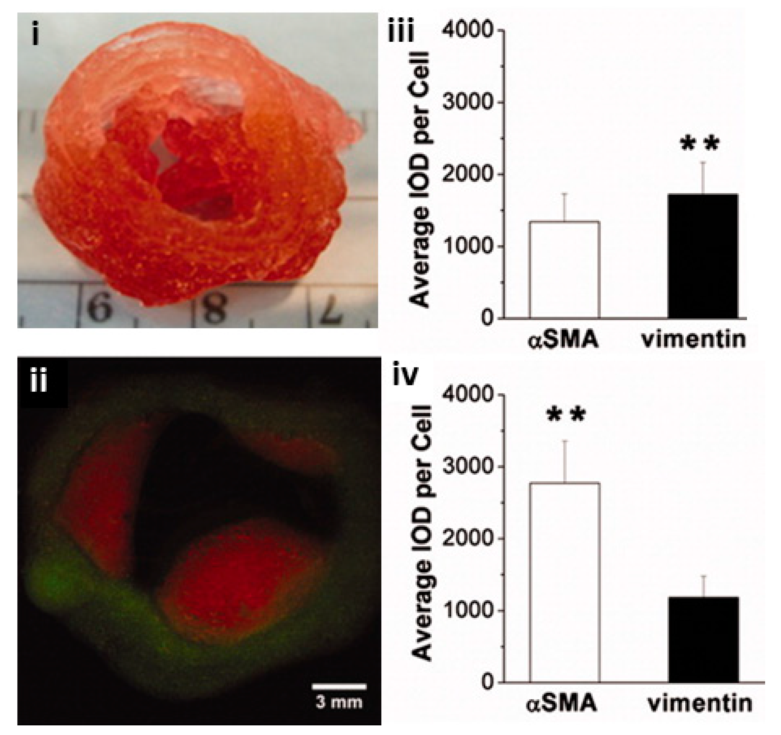 Biomolecules 13 01180 g009