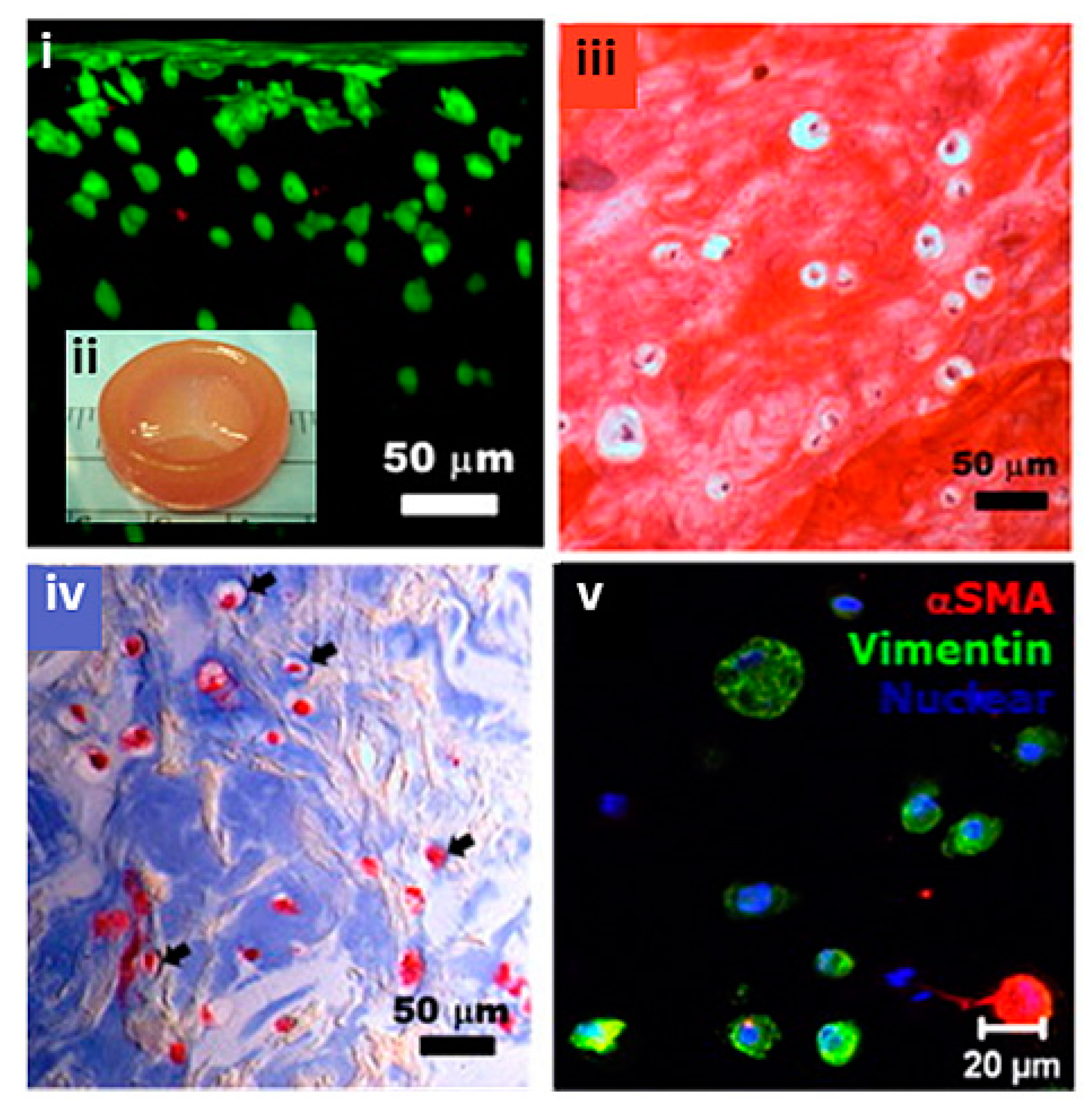 Biomolecules 13 01180 g010