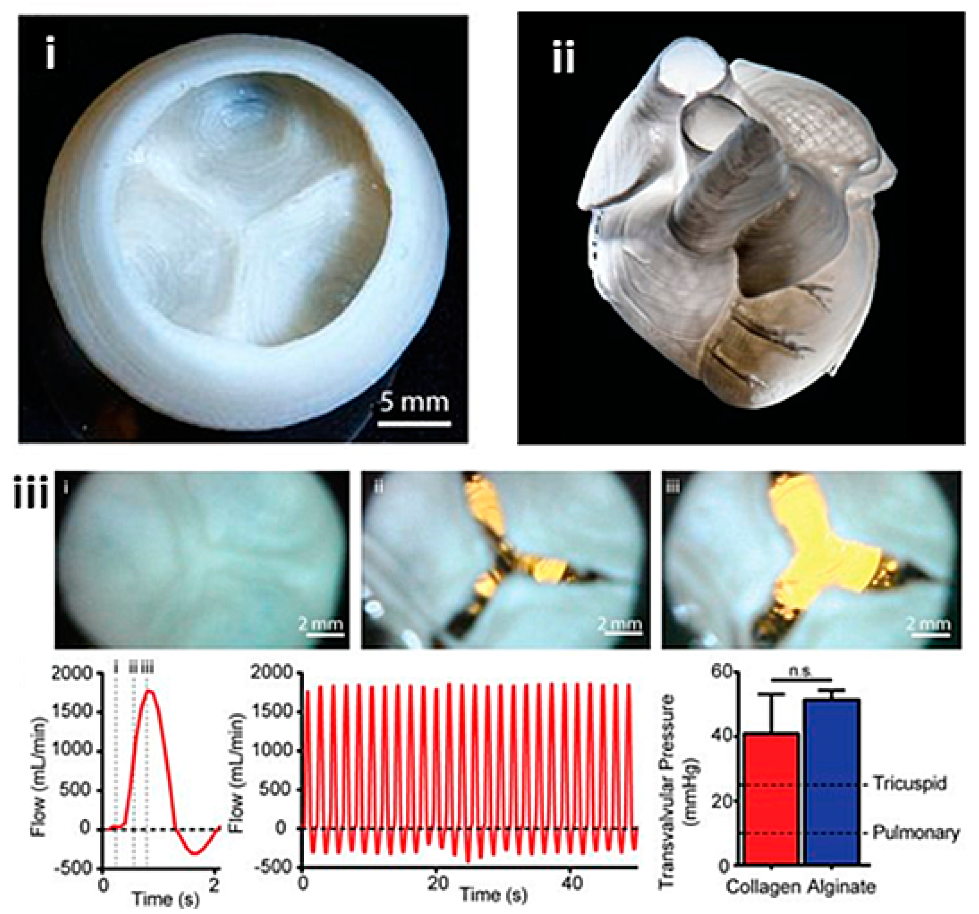Biomolecules 13 01180 g011