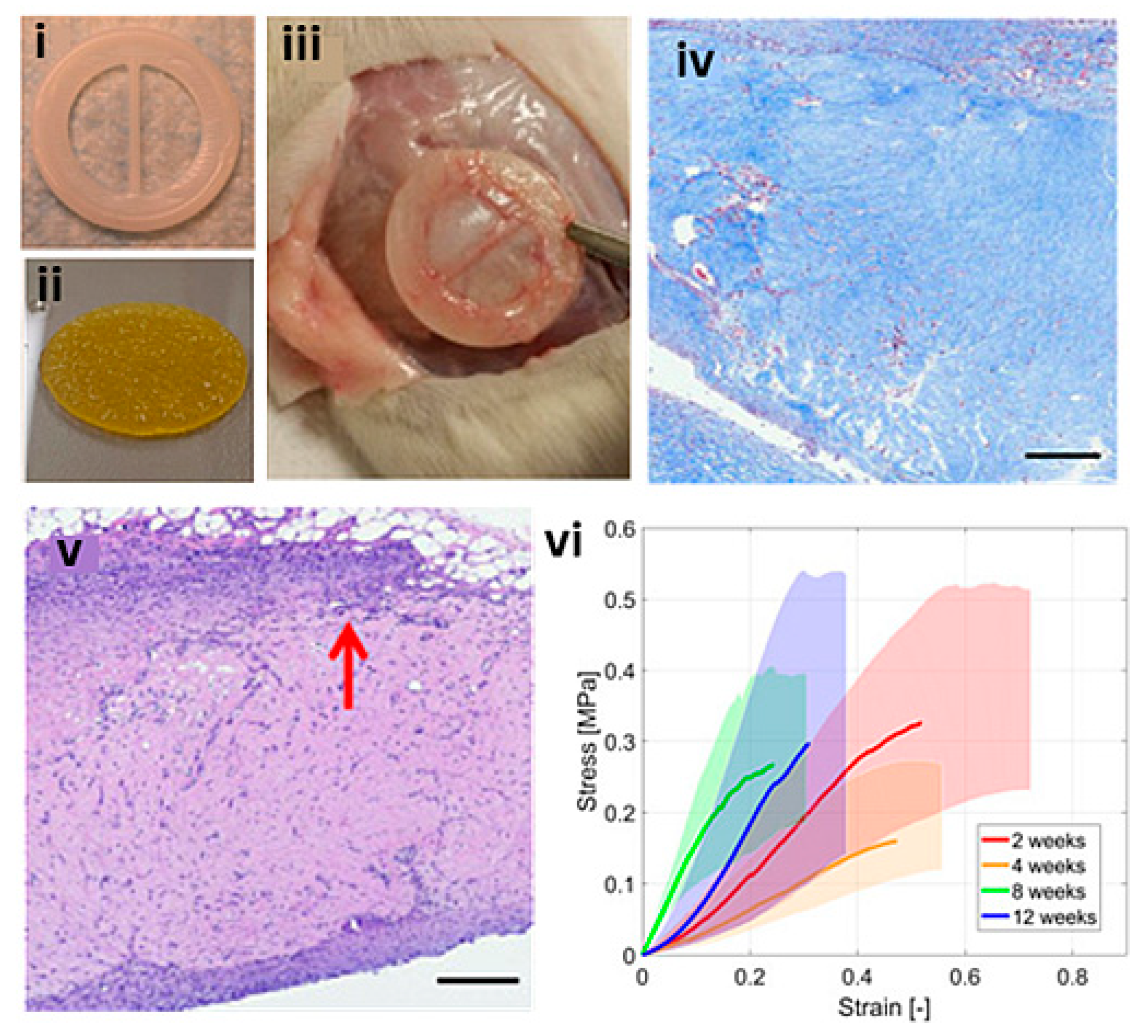 Biomolecules 13 01180 g012