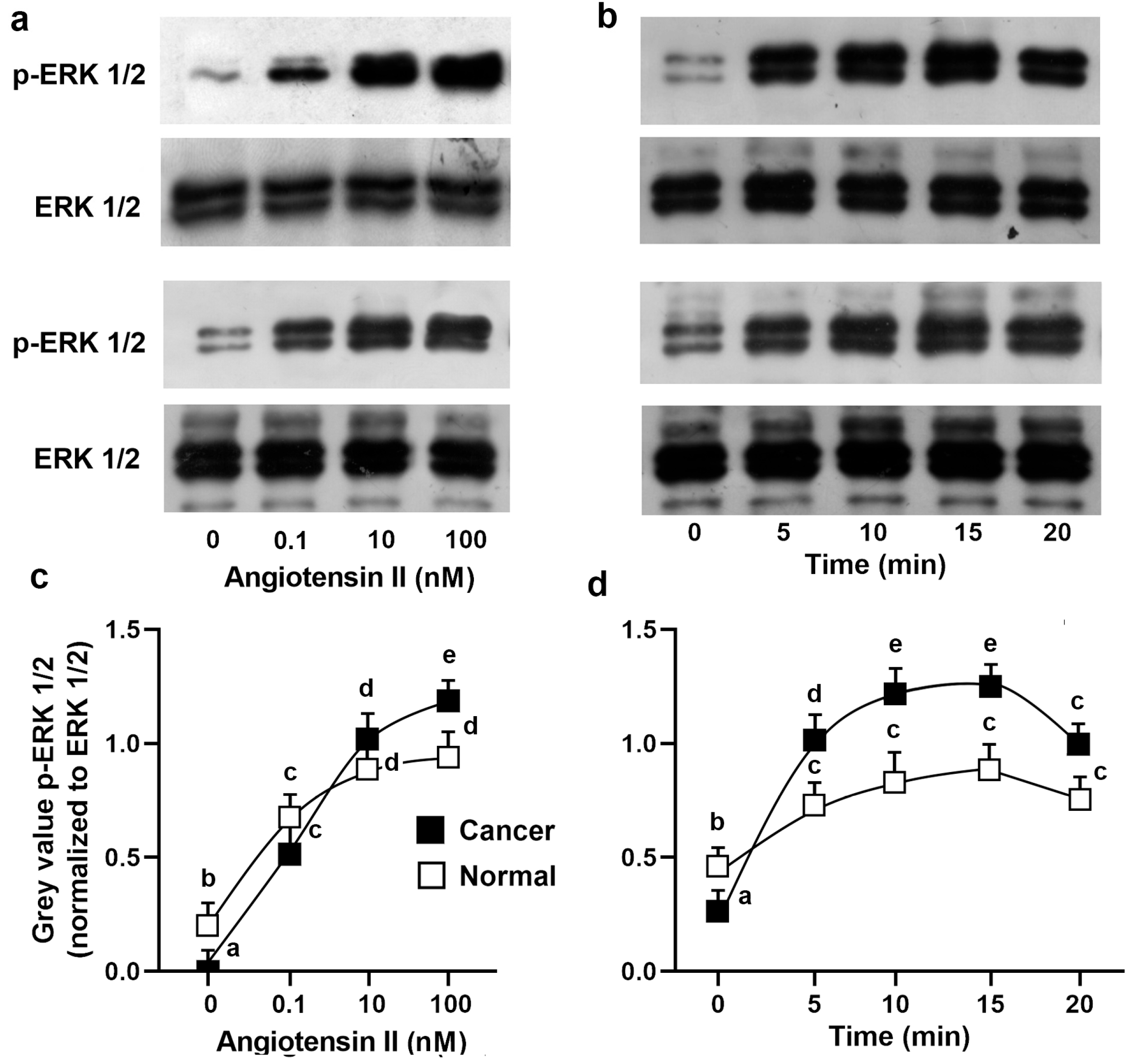 Biomolecules 13 01181 g006 Biomolecules 13 01181 g006