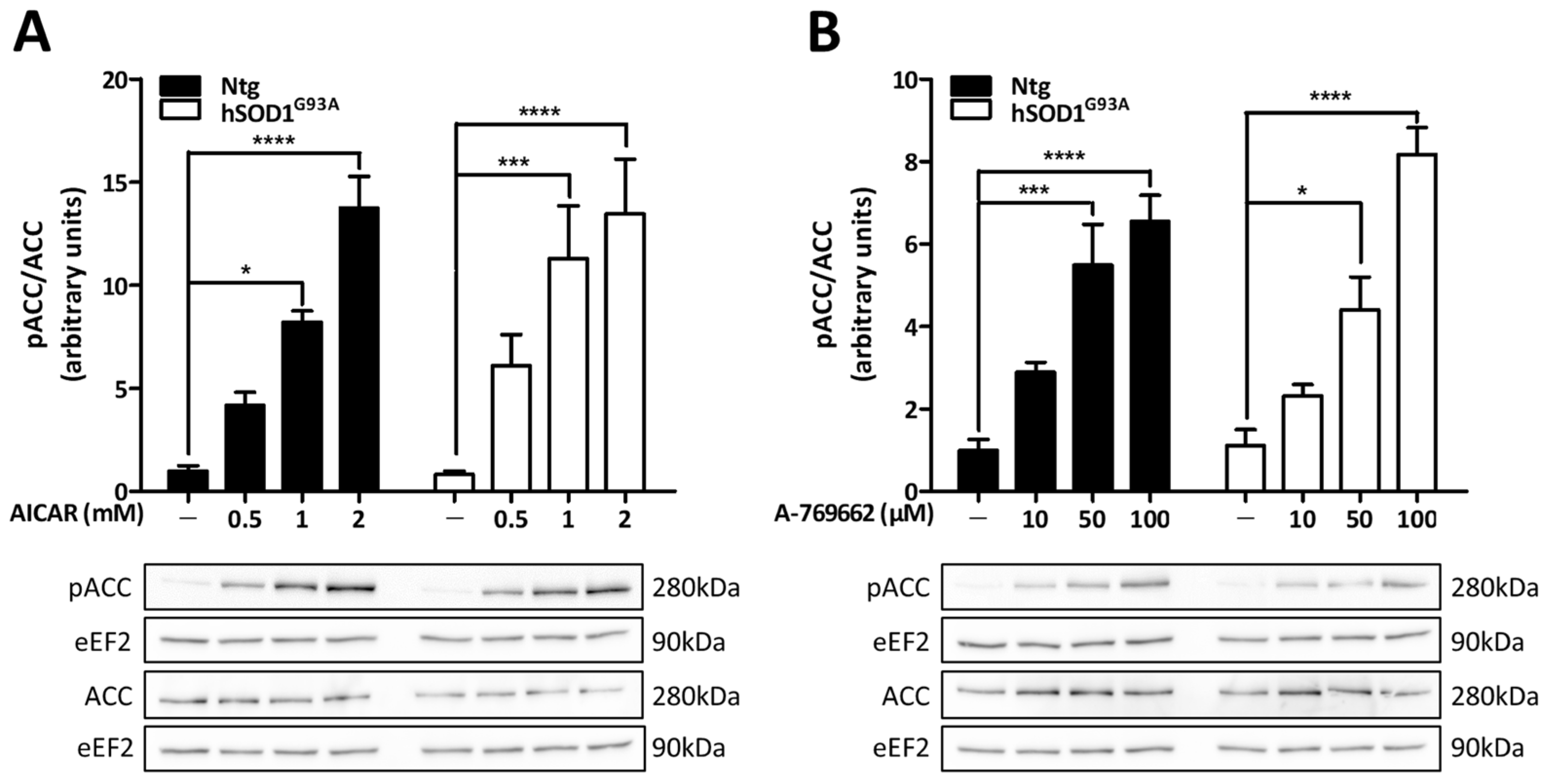 Biomolecules 13 01183 g002 Biomolecules 13 01183 g002