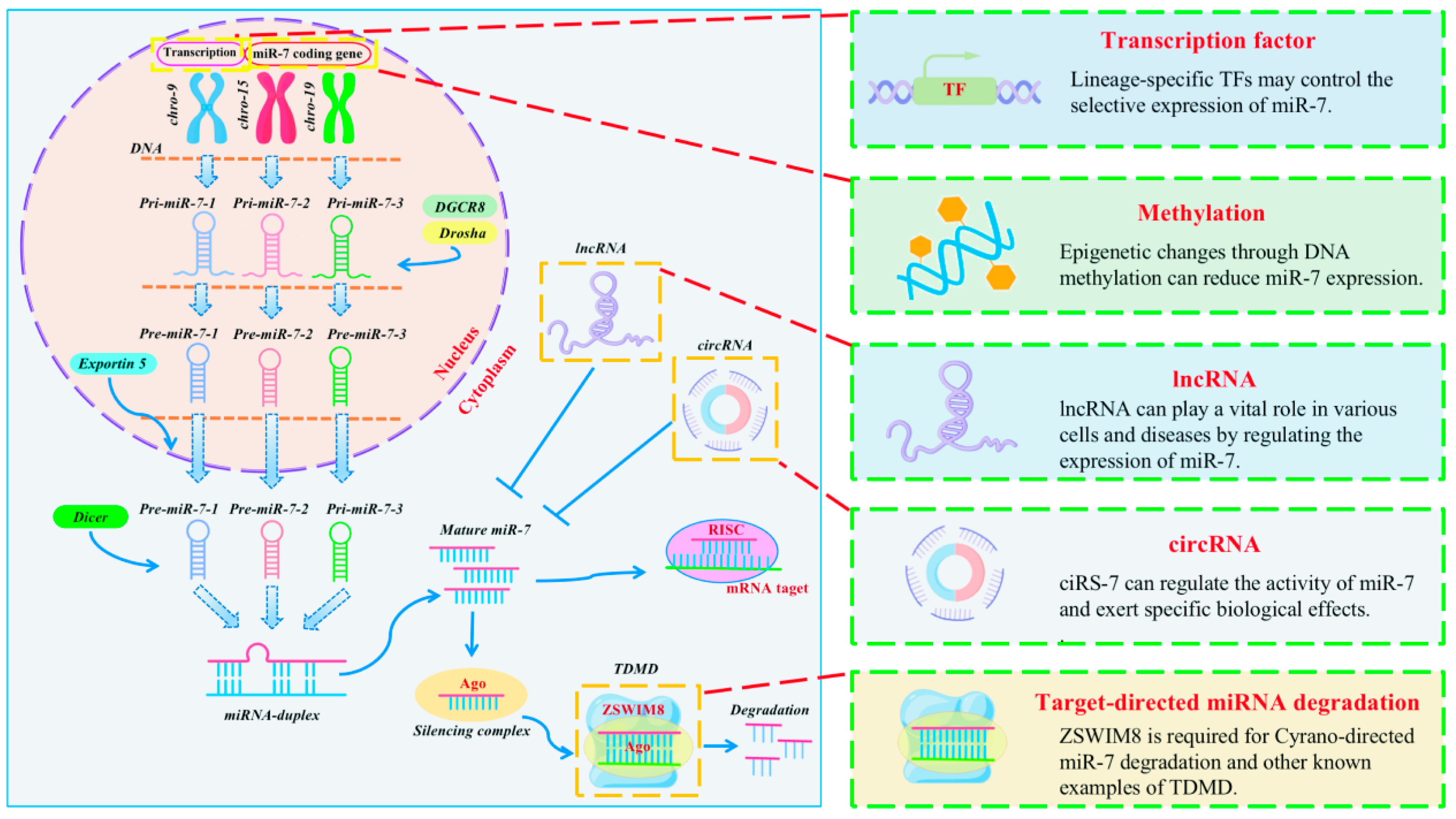 Biomolecules 13 01185 g002