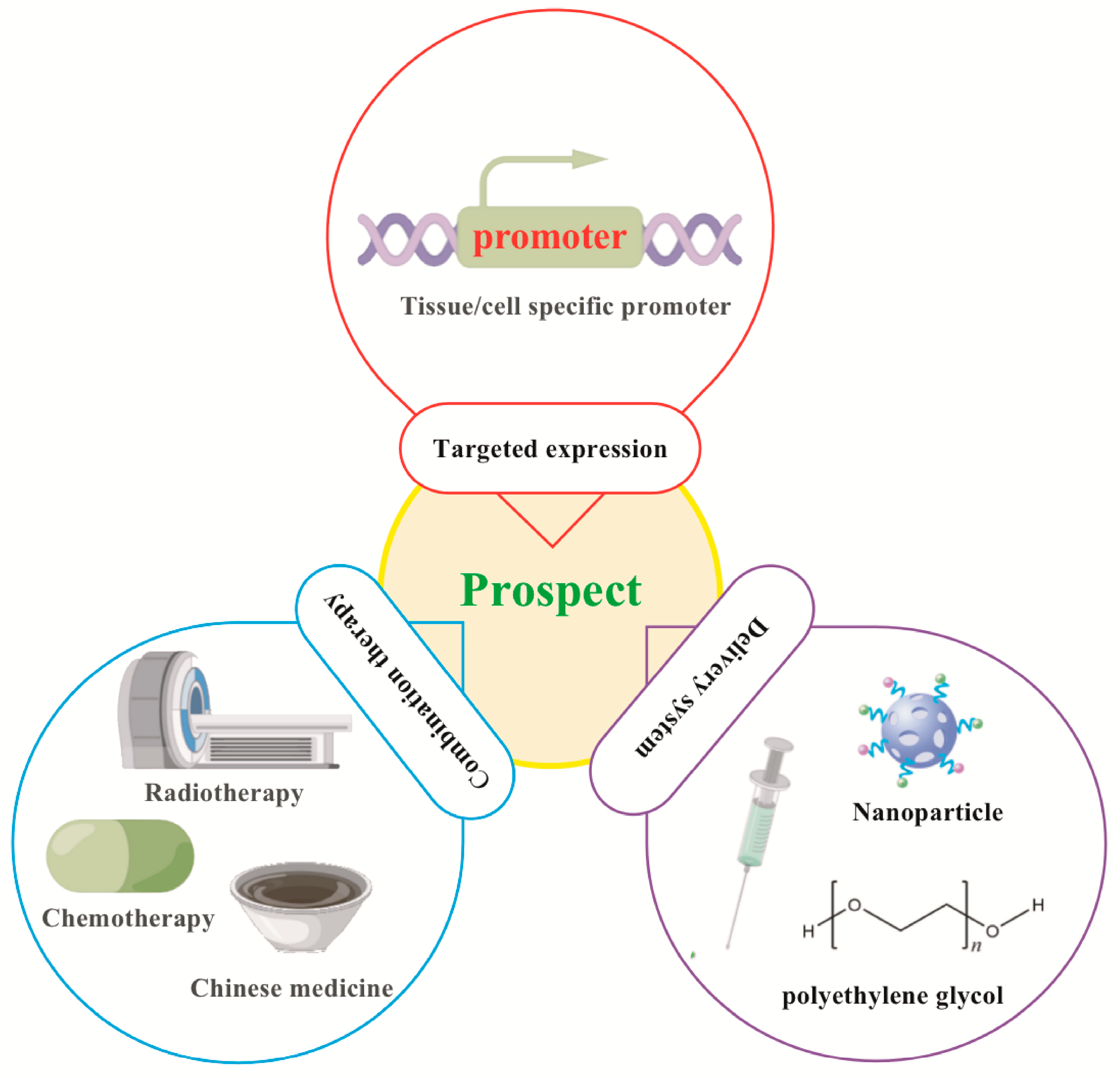 Biomolecules 13 01185 g005