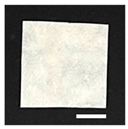 Biomolecules 13 01186 i005 Biomolecules 13 01186 i005