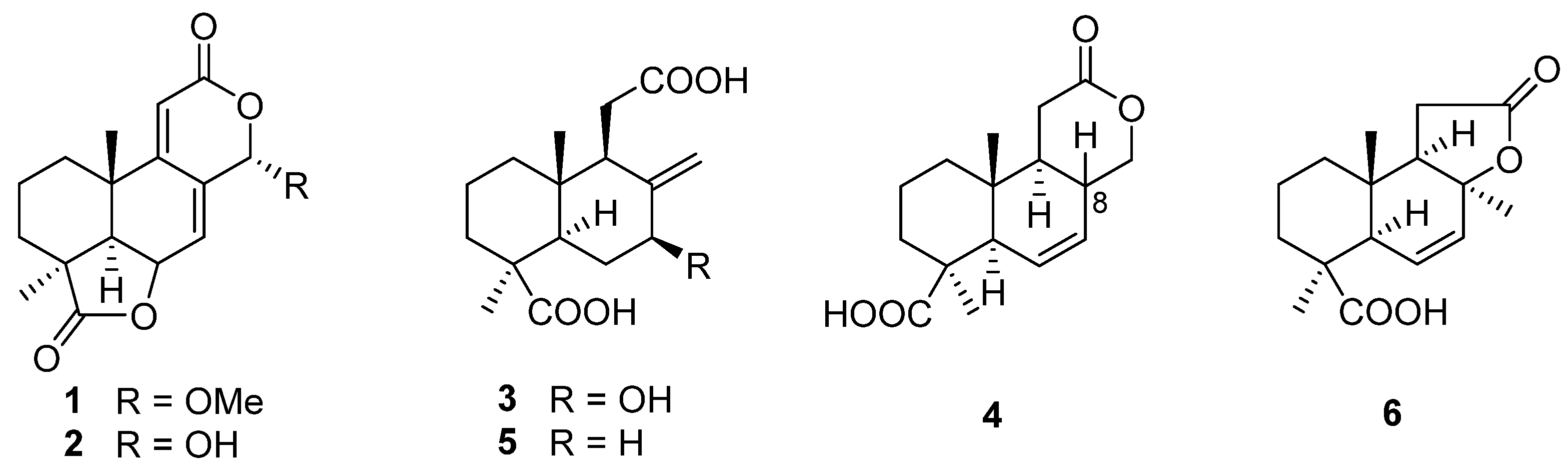 Biomolecules 13 01191 g001