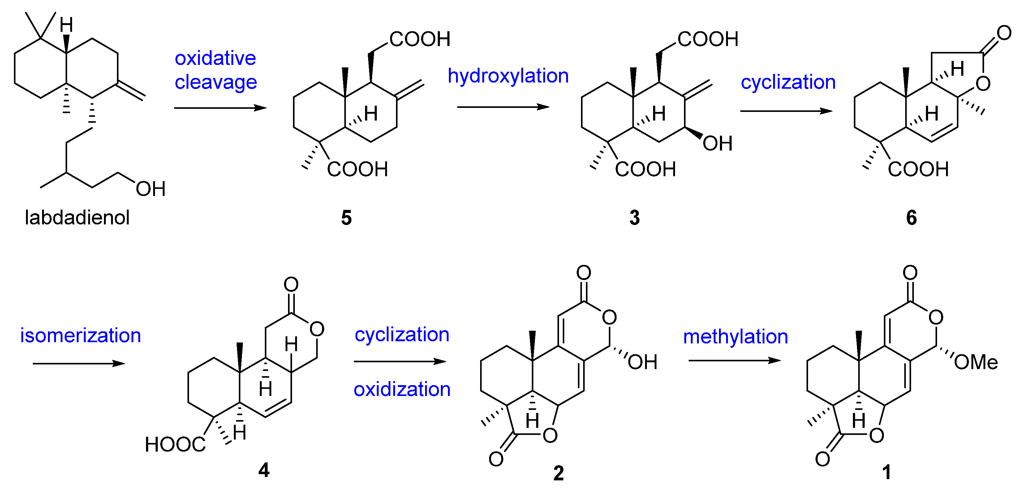Biomolecules 13 01191 g002 Biomolecules 13 01191 g002