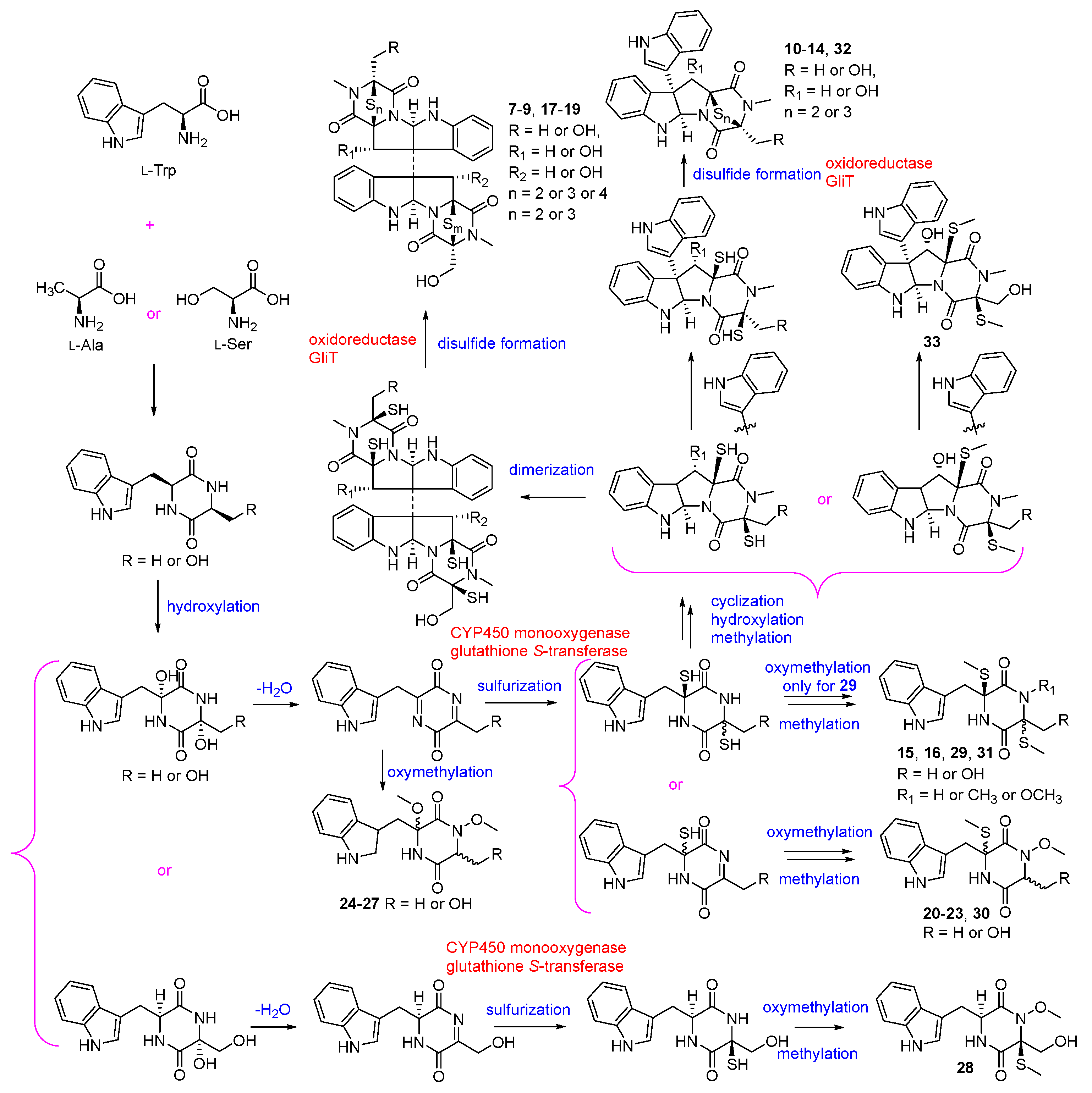 Biomolecules 13 01191 g004