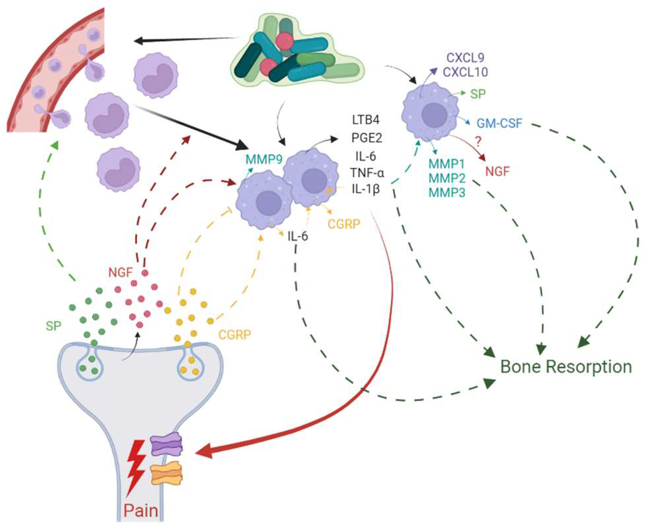 Biomolecules 13 01193 g003 Biomolecules 13 01193 g003