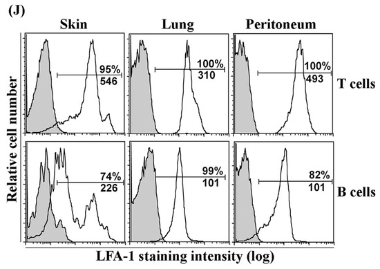 LFA-1/ICAM-1 Adhesion Pathway Mediates the Homeostatic LFA-1/ICAM-1 Adhesion Pathway Mediates the Homeostatic