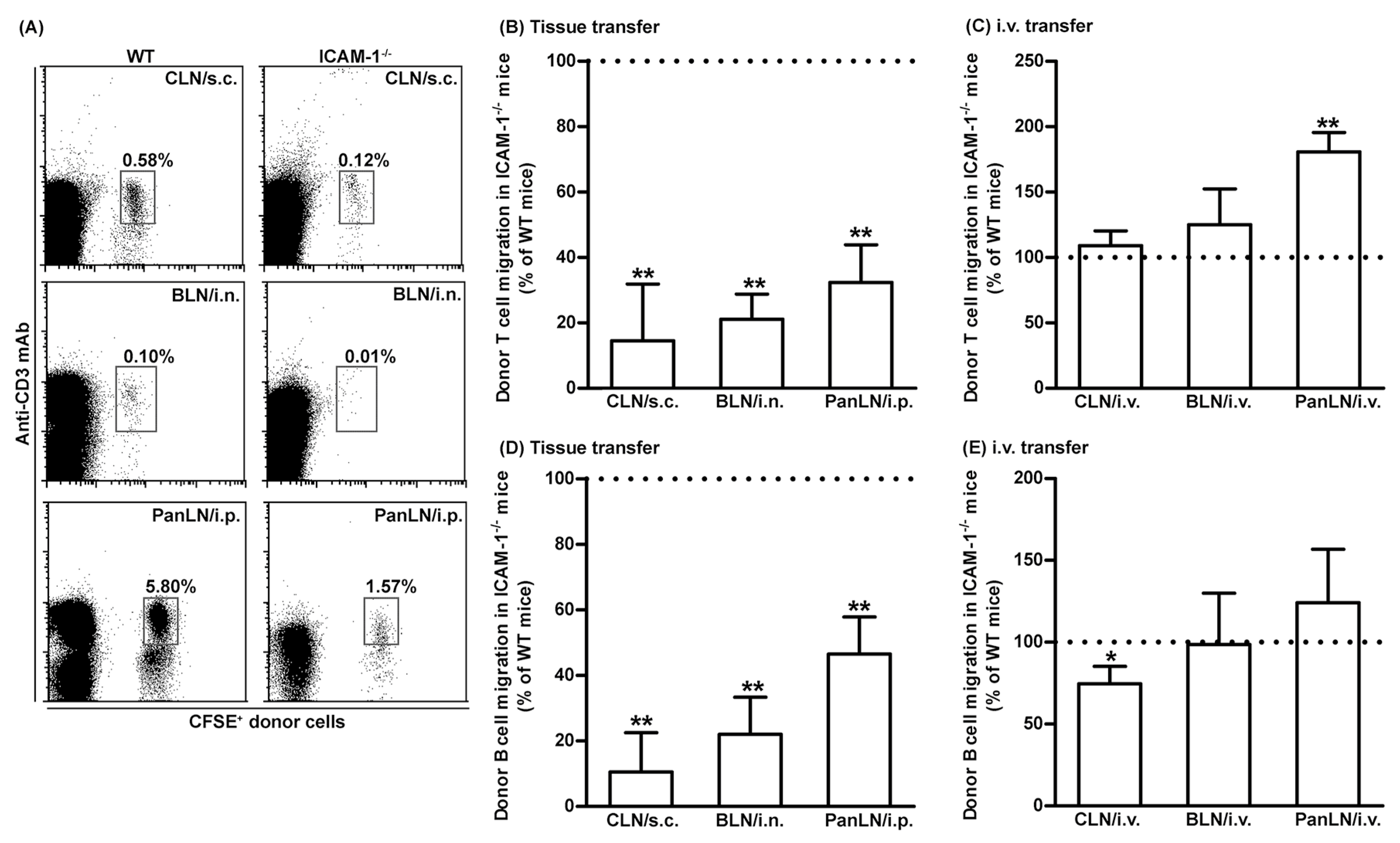 Biomolecules 13 01194 g004 Biomolecules 13 01194 g004