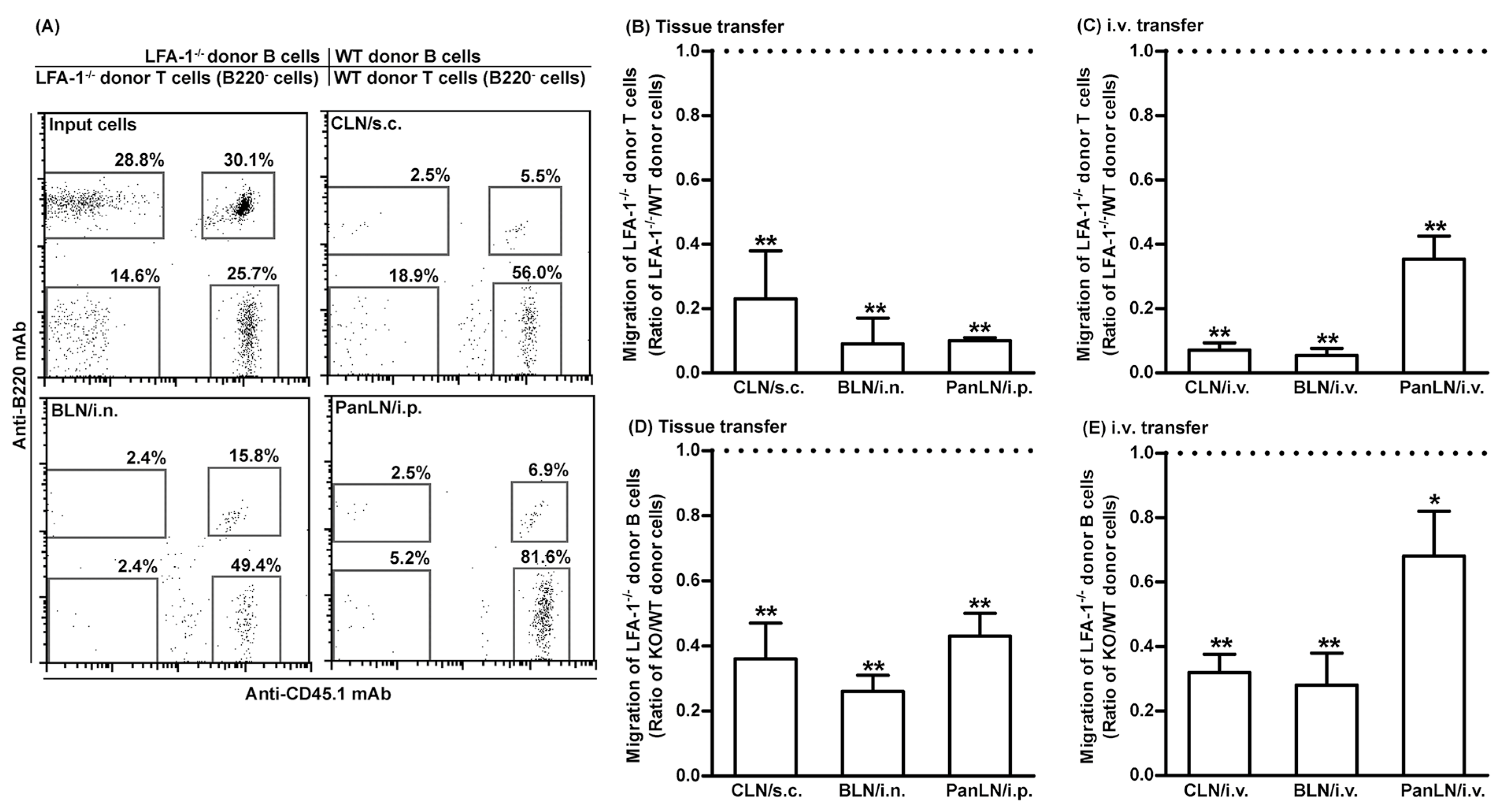Biomolecules 13 01194 g005 Biomolecules 13 01194 g005