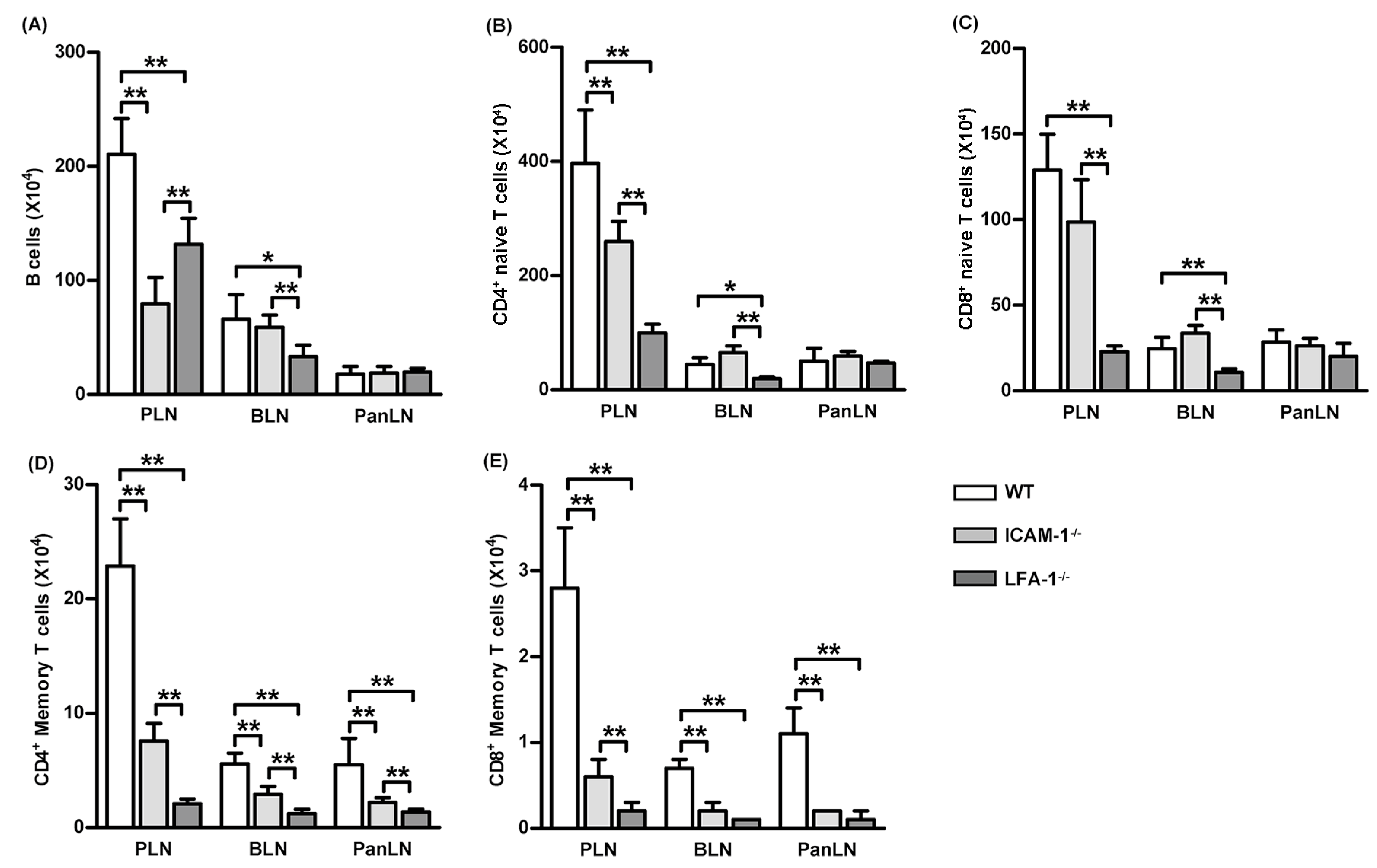 Biomolecules 13 01194 g006 Biomolecules 13 01194 g006