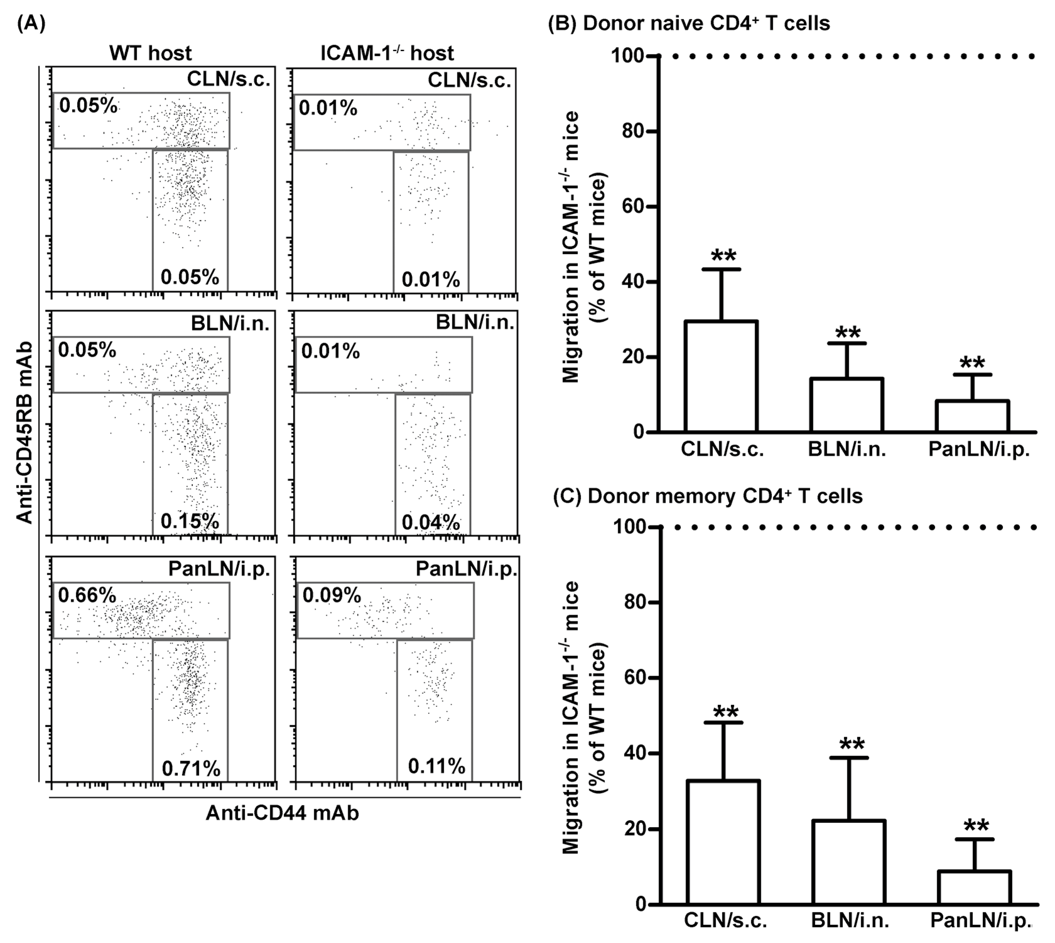 Biomolecules 13 01194 g007 Biomolecules 13 01194 g007