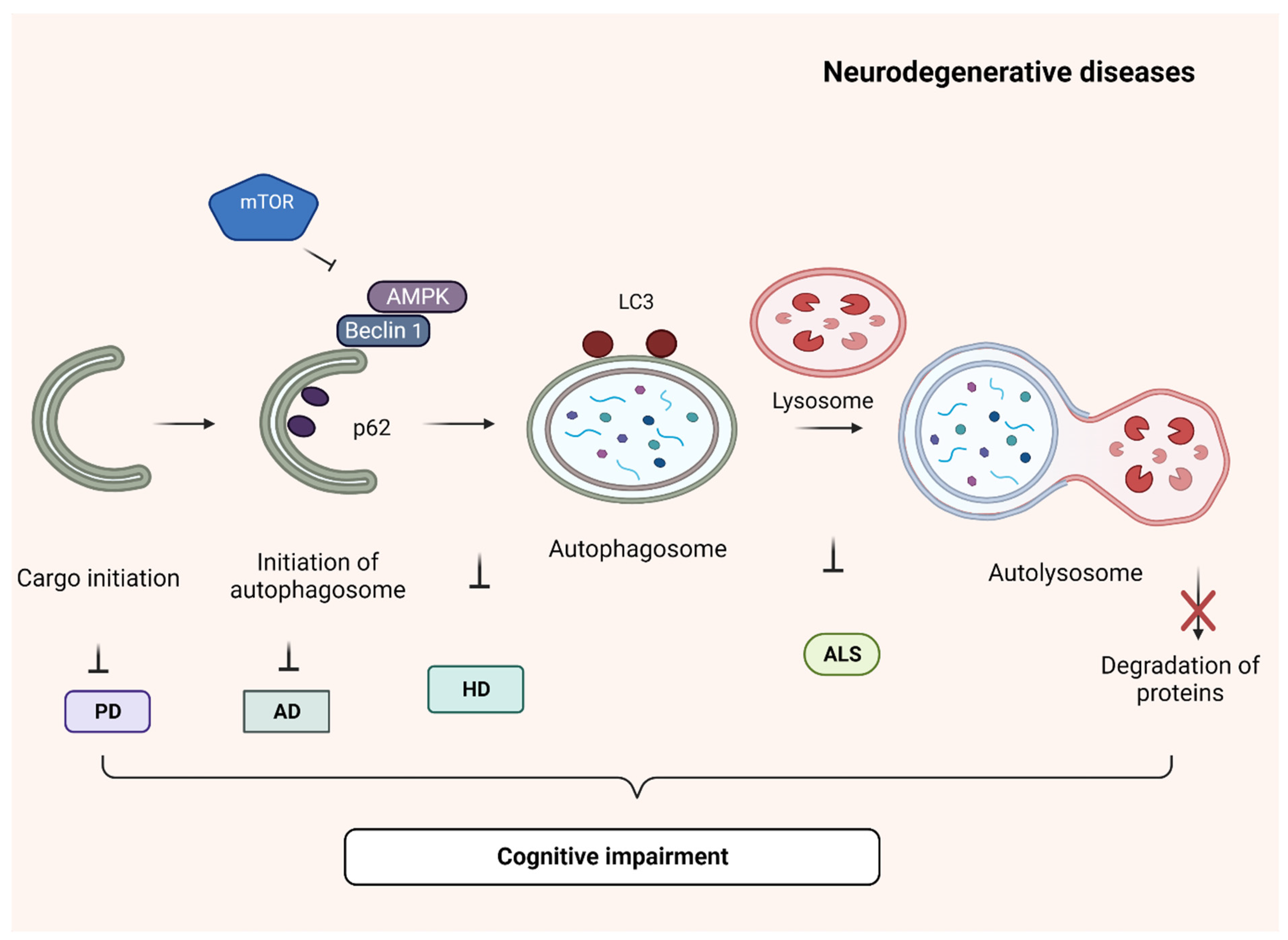 Biomolecules 13 01196 g003 Biomolecules 13 01196 g003