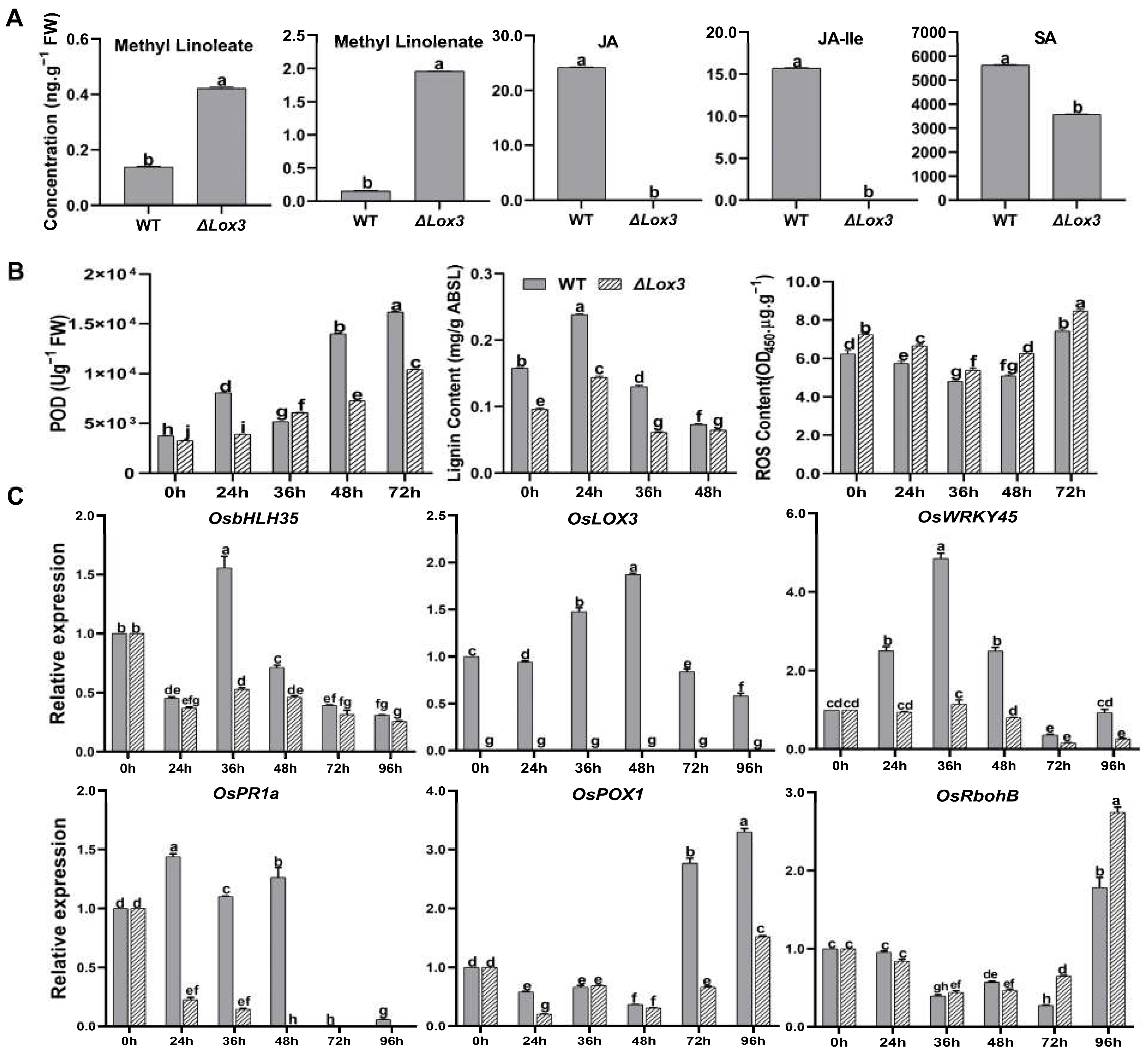 Biomolecules 13 01197 g003 Biomolecules 13 01197 g003