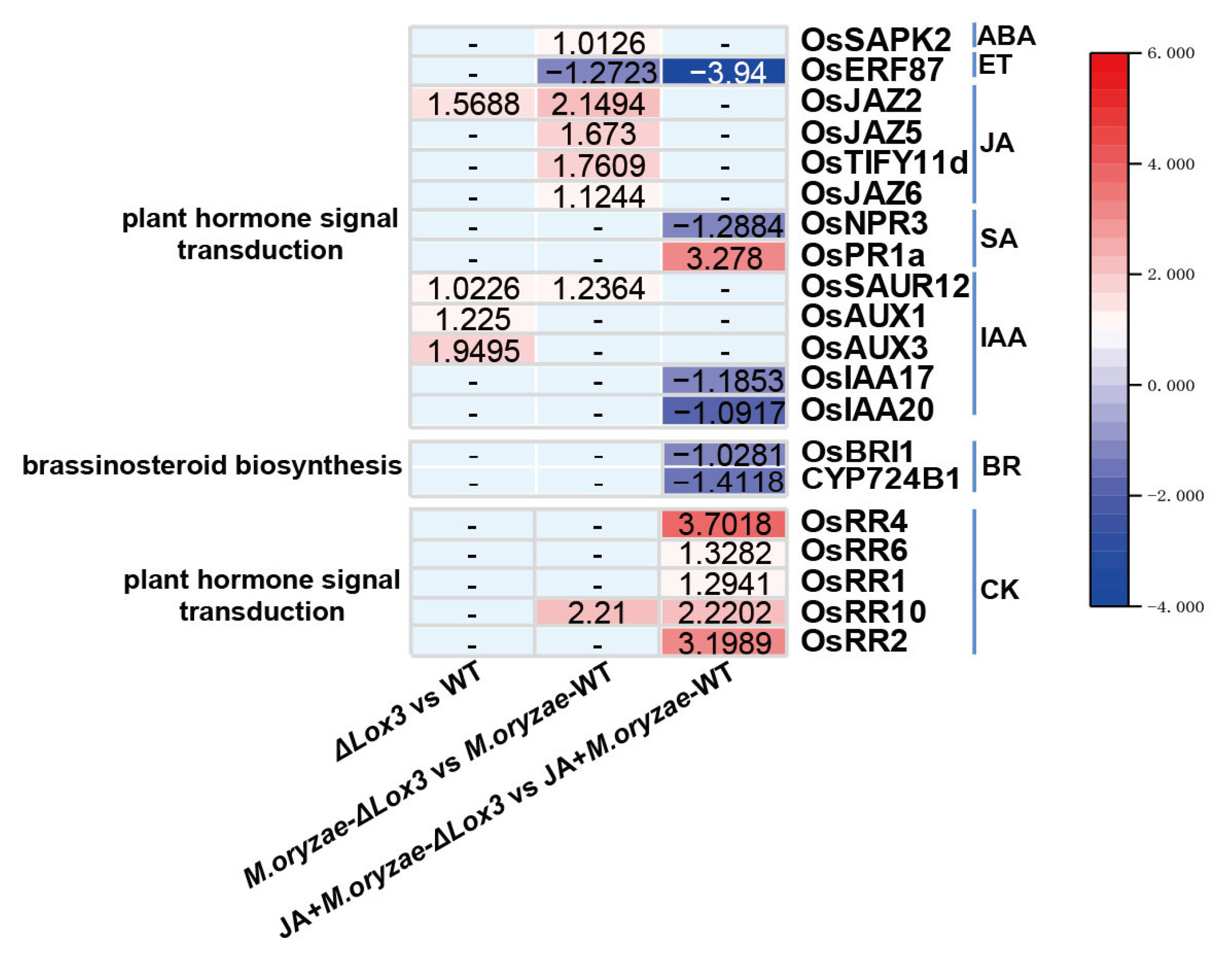 Biomolecules 13 01197 g009 Biomolecules 13 01197 g009