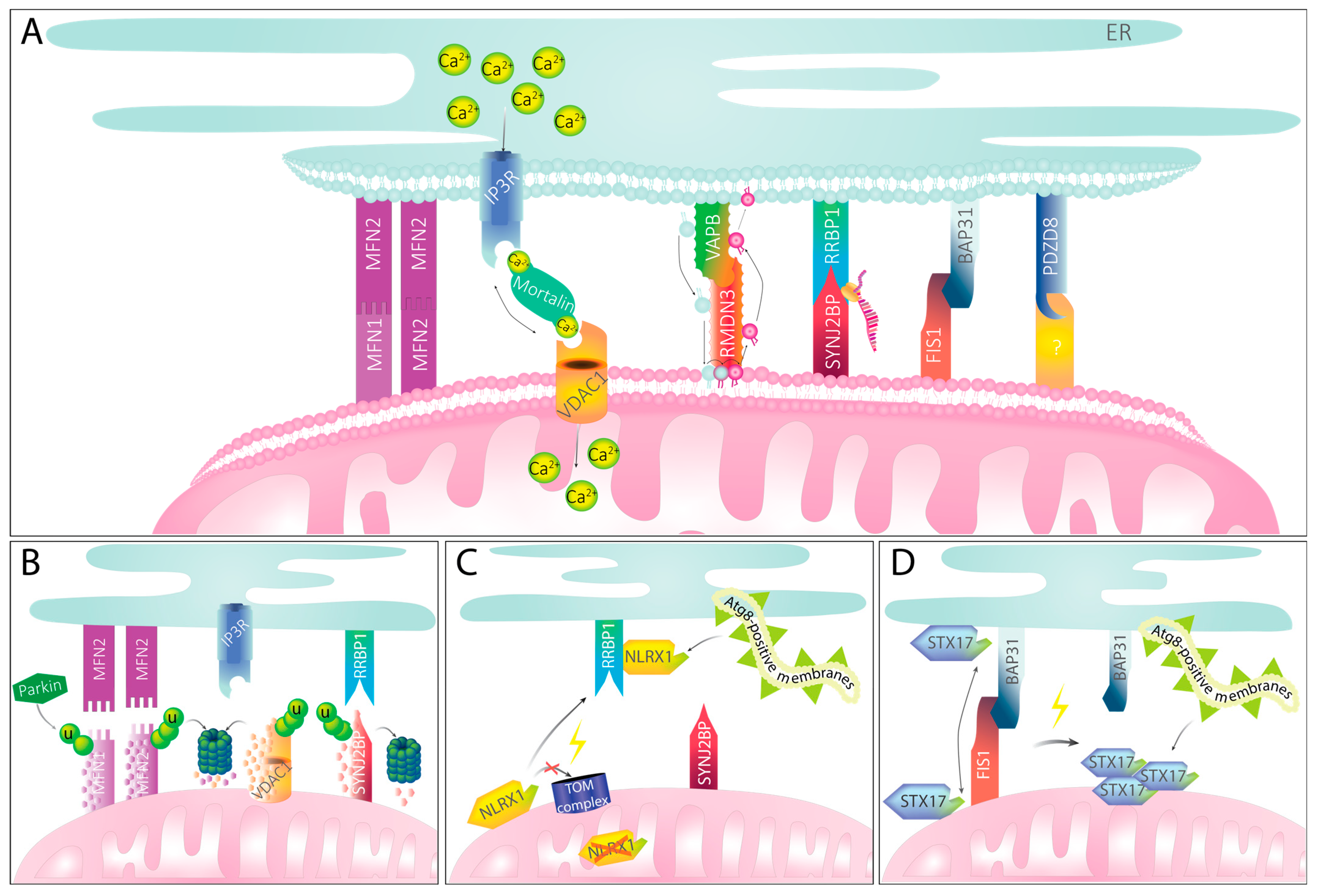 Biomolecules 13 01198 g002 Biomolecules 13 01198 g002
