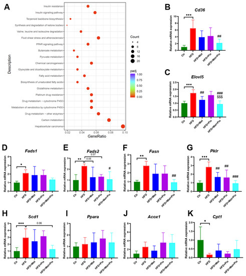 Combination of Pioglitazone and Metformin Actions on Liver Lipid