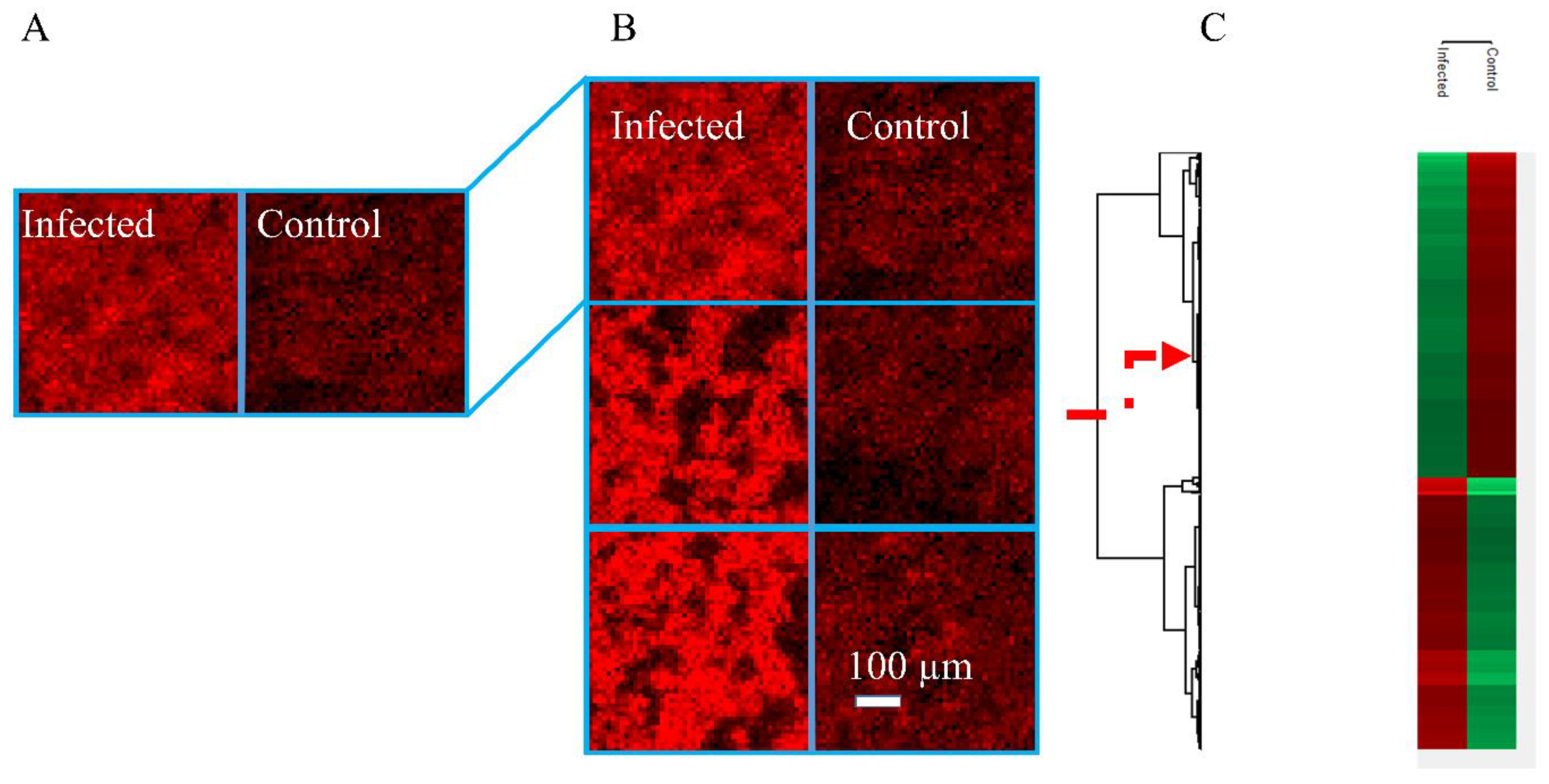Biomolecules 13 01200 g002