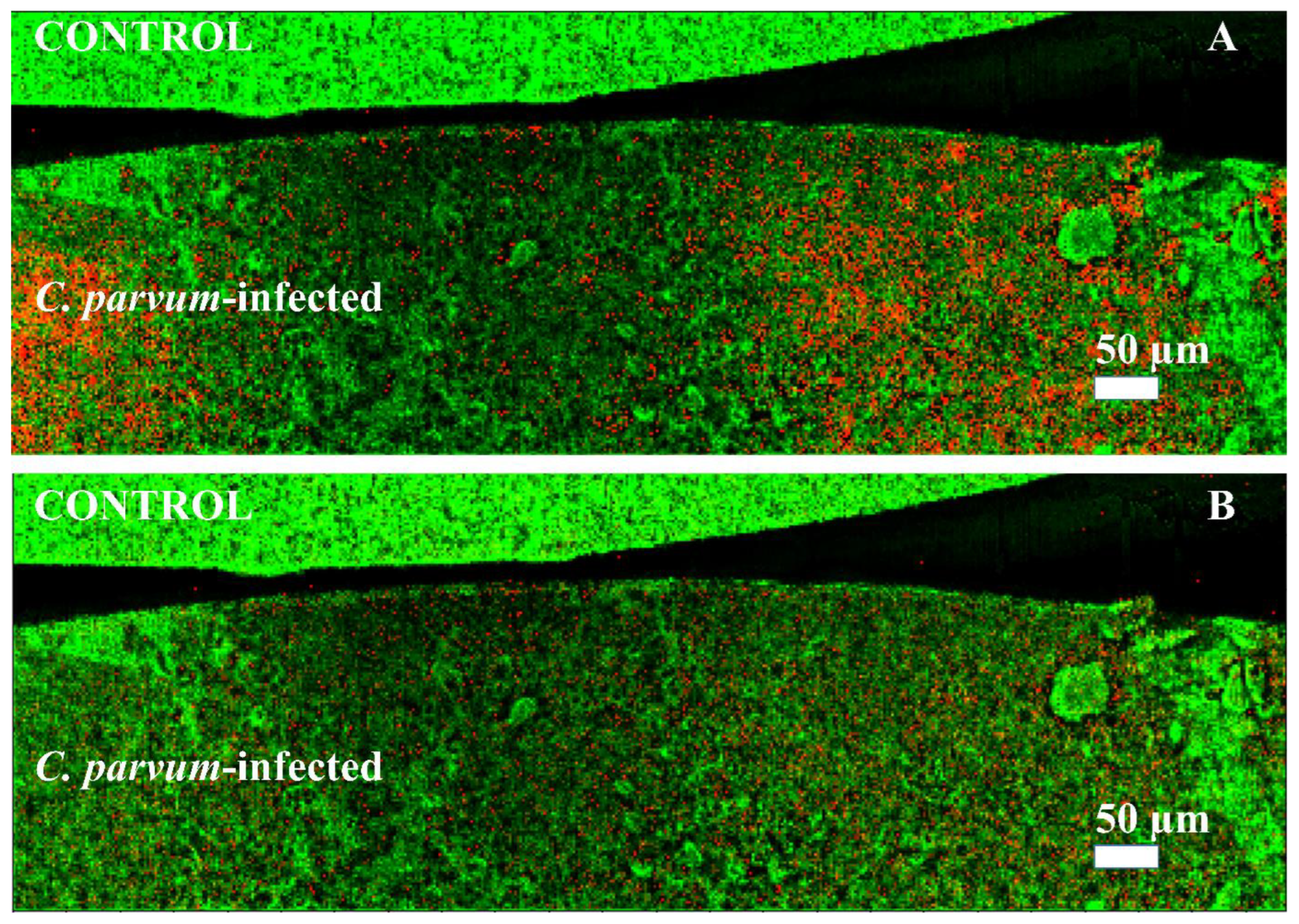 Biomolecules 13 01200 g004