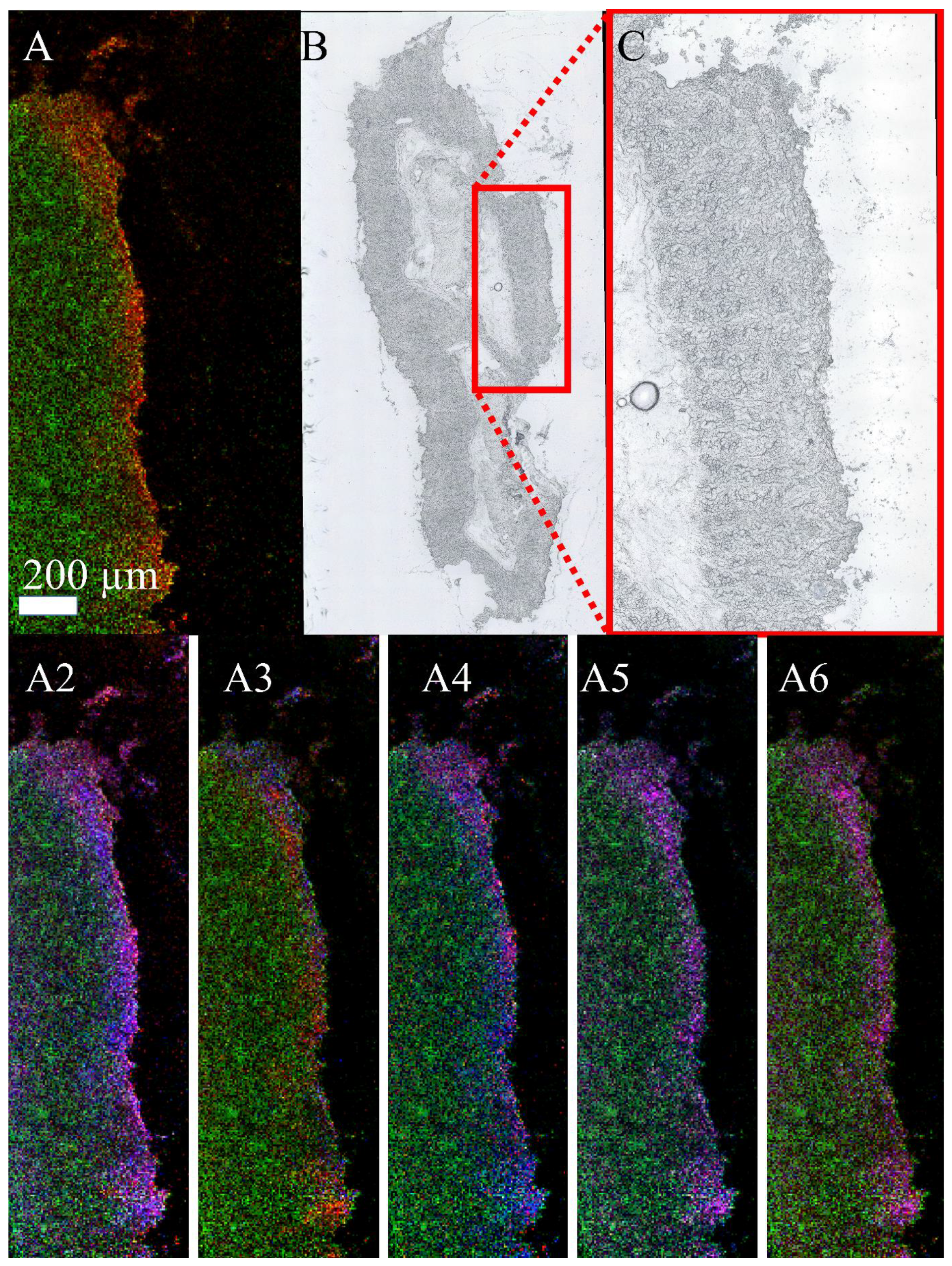 Biomolecules 13 01200 g006