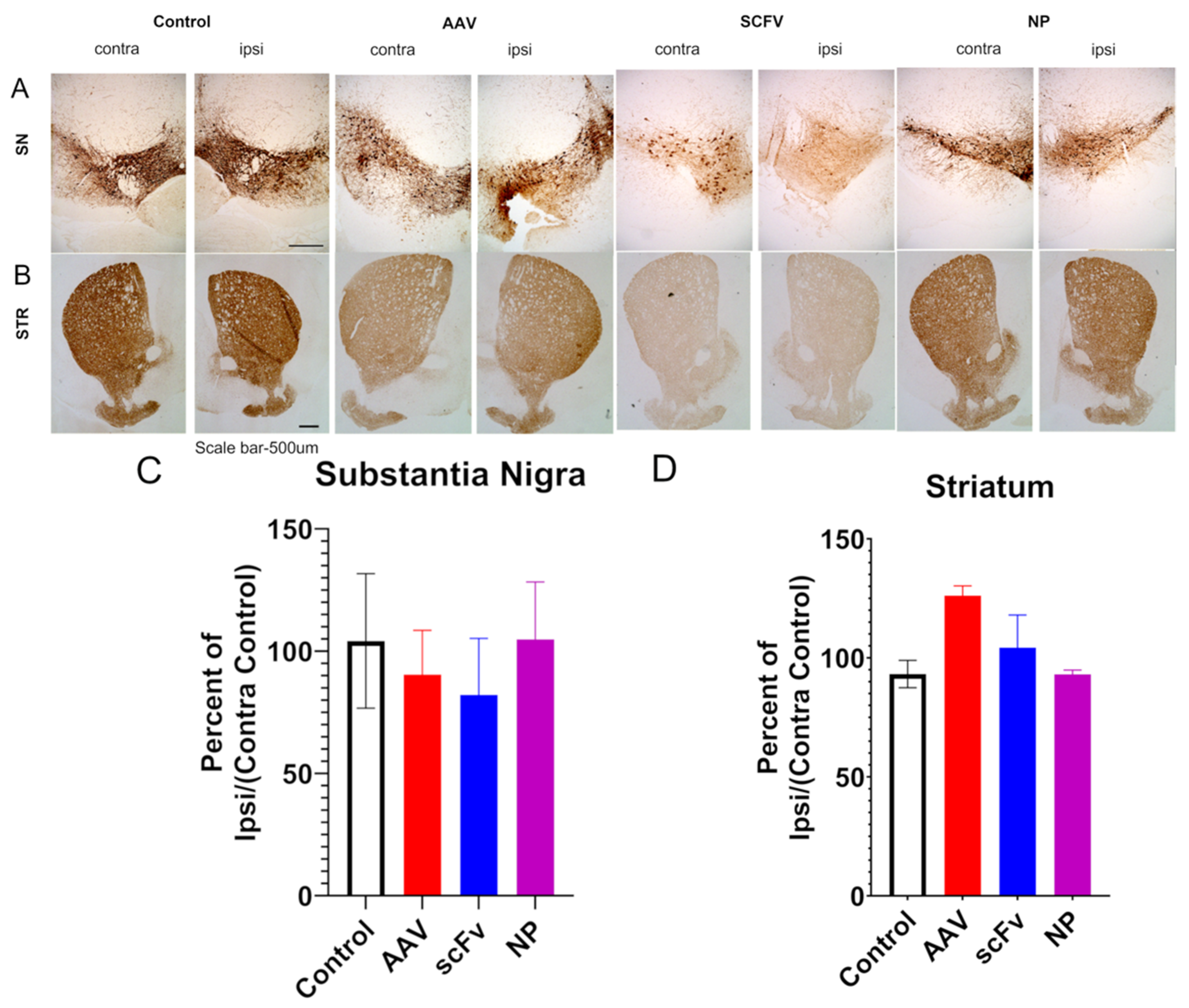 Biomolecules 13 01203 g004
