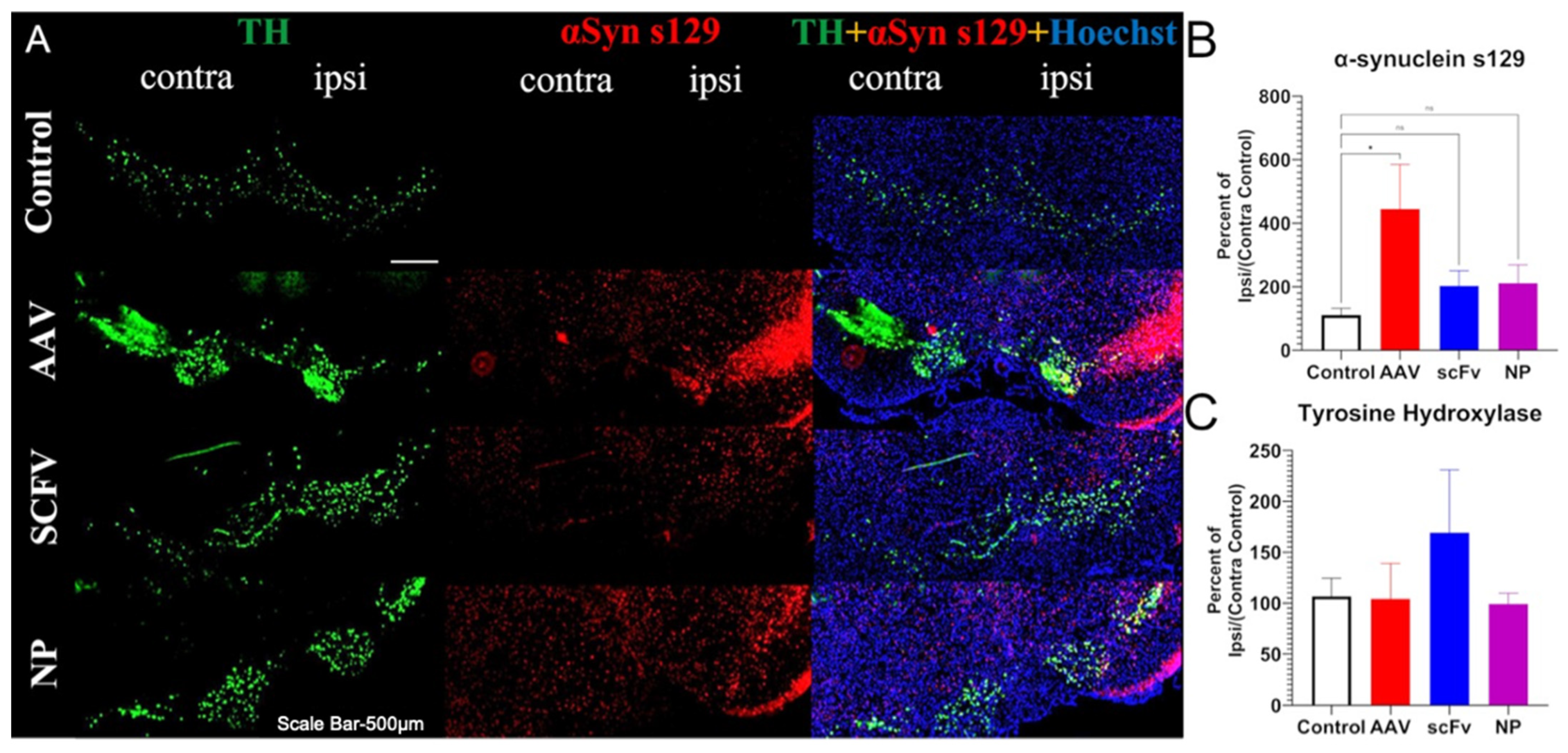 Biomolecules 13 01203 g005