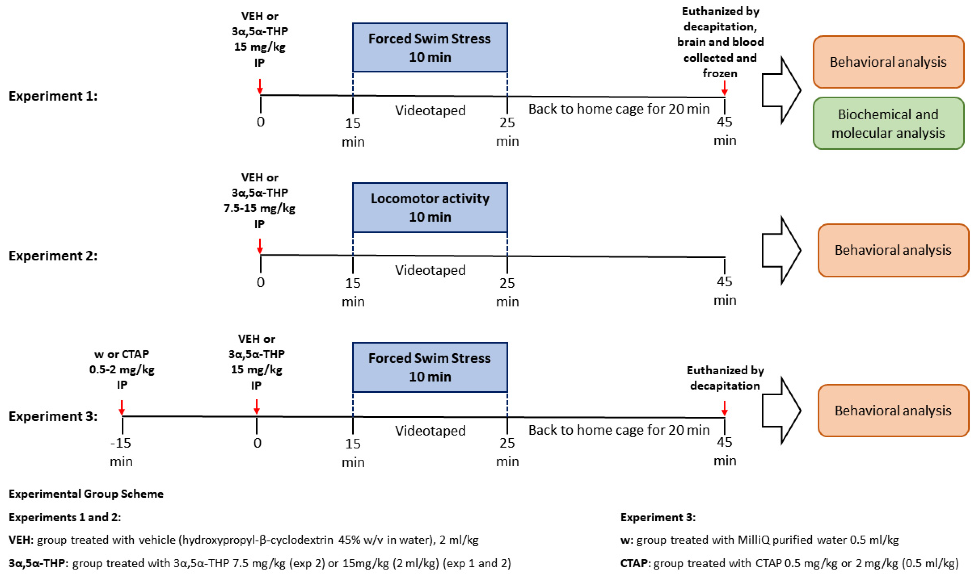 Biomolecules 13 01205 g001 Biomolecules 13 01205 g001
