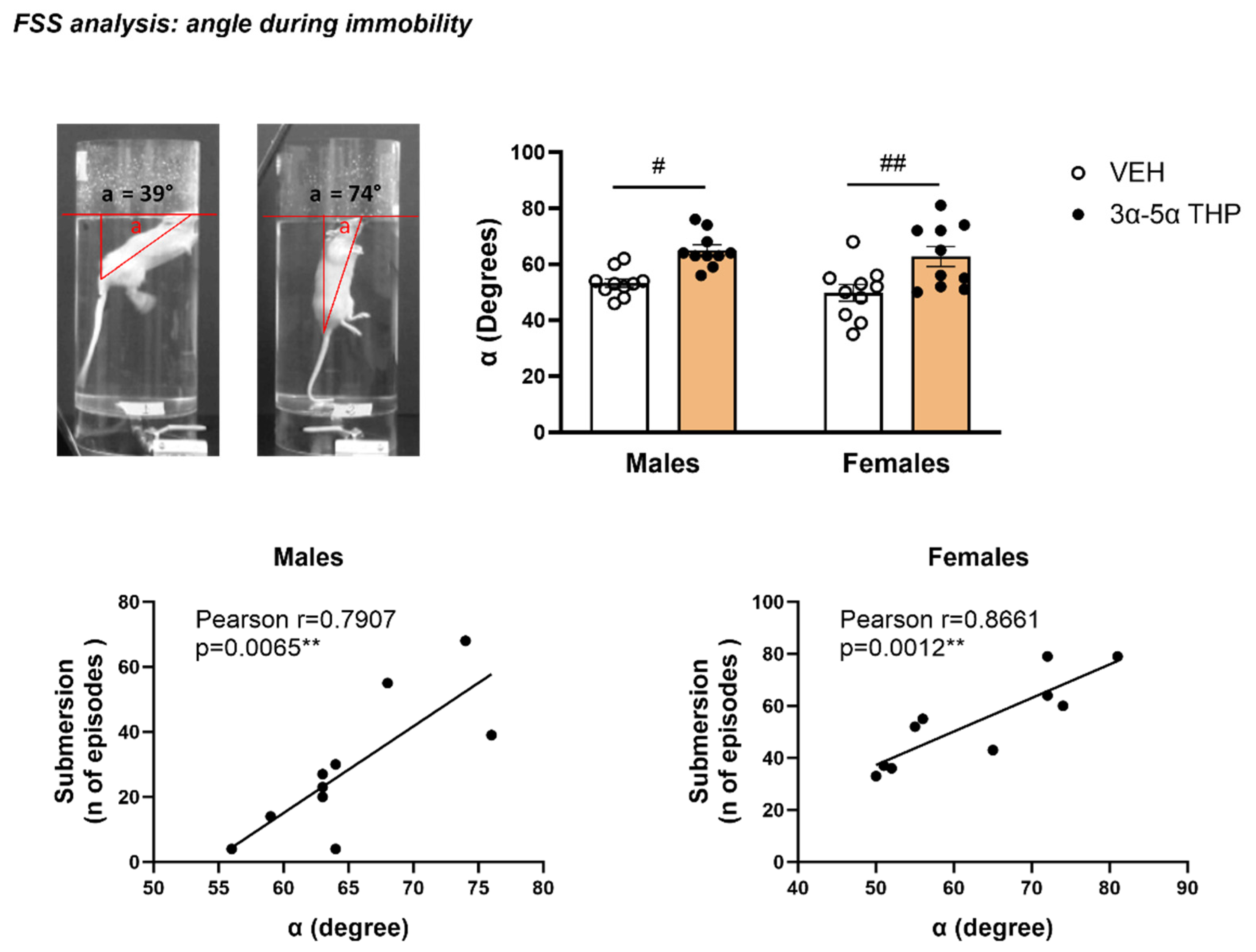 Biomolecules 13 01205 g003 Biomolecules 13 01205 g003