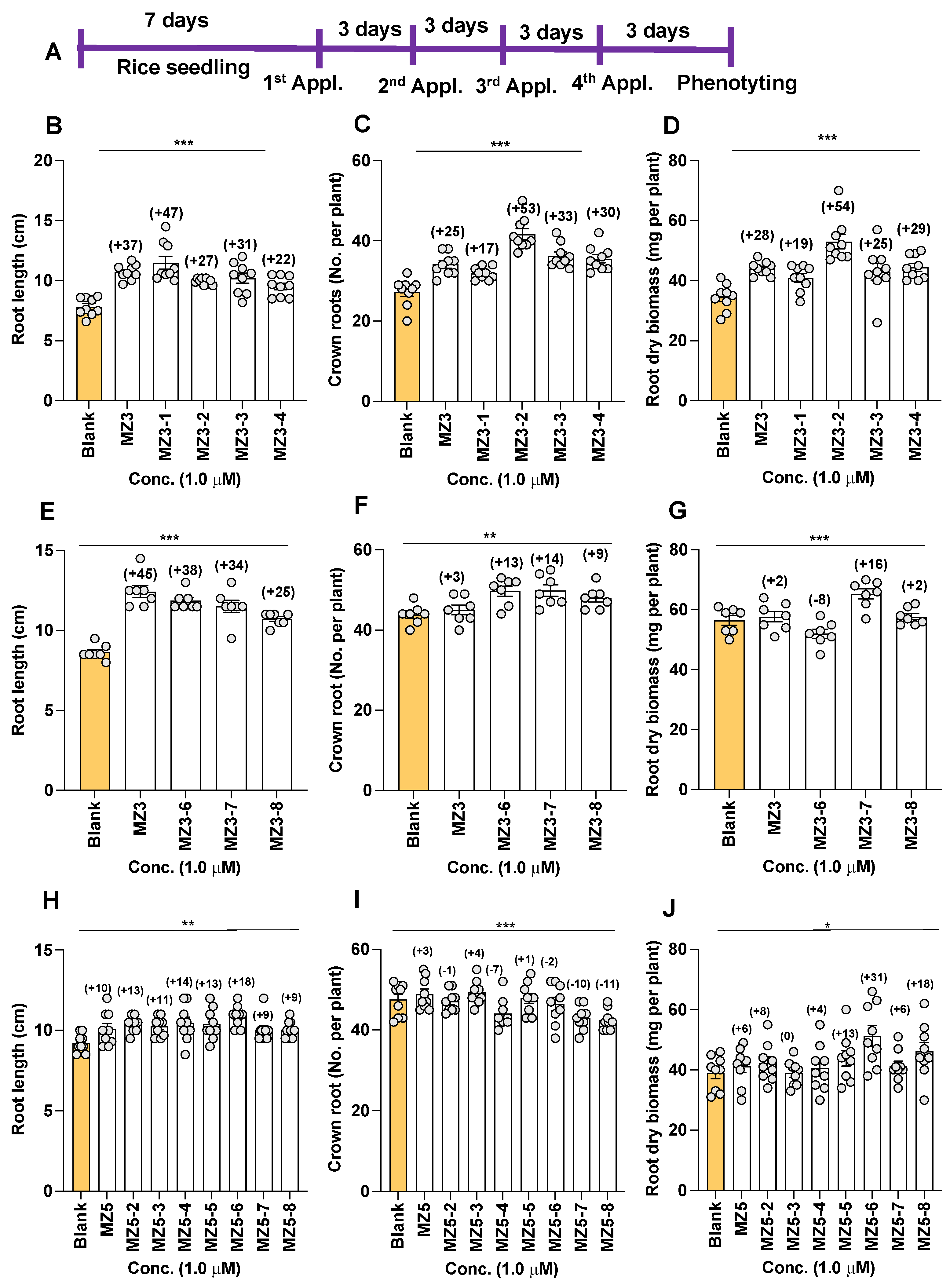 Biomolecules 13 01206 g006 Biomolecules 13 01206 g006