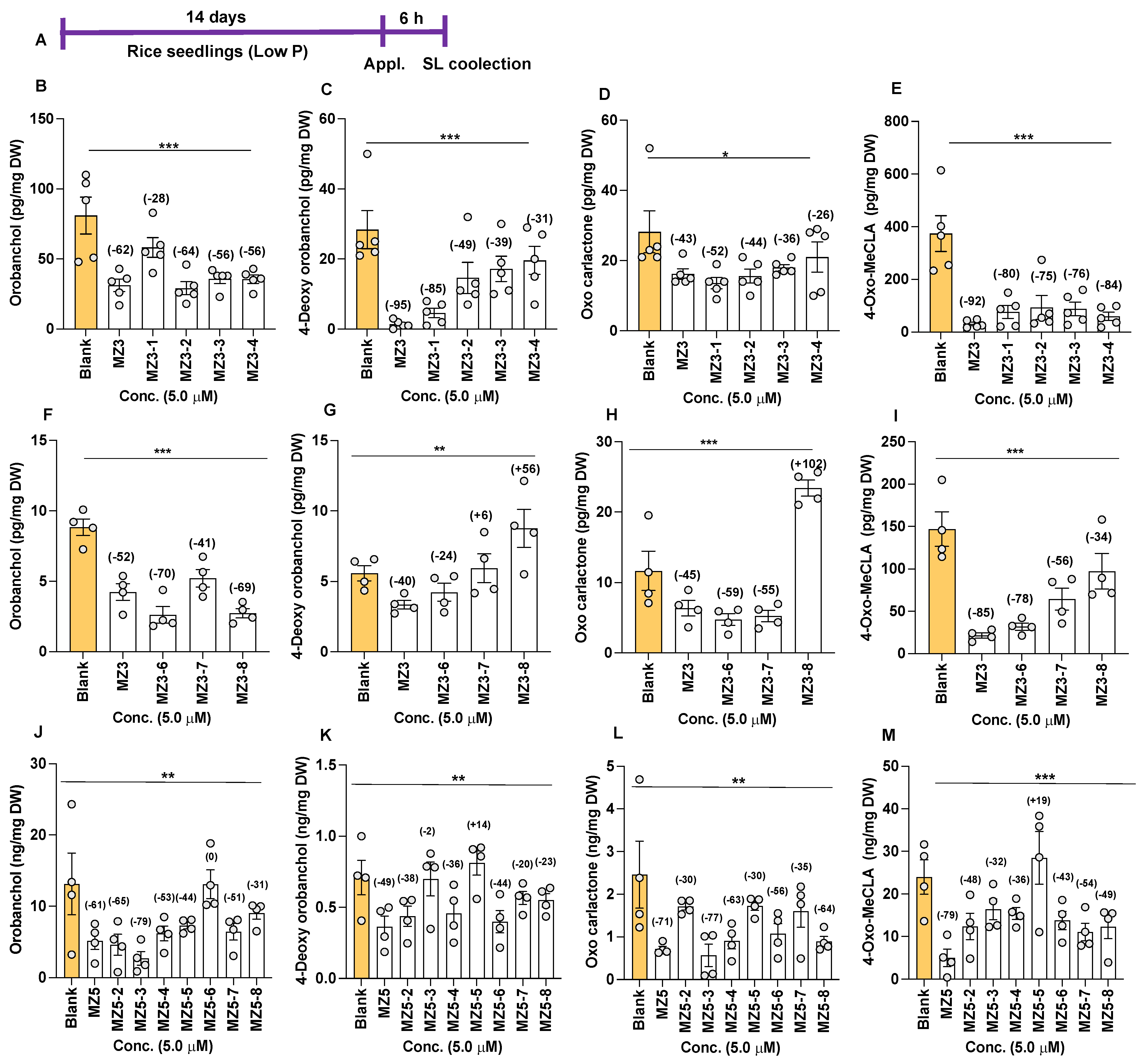 Biomolecules 13 01206 g008 Biomolecules 13 01206 g008