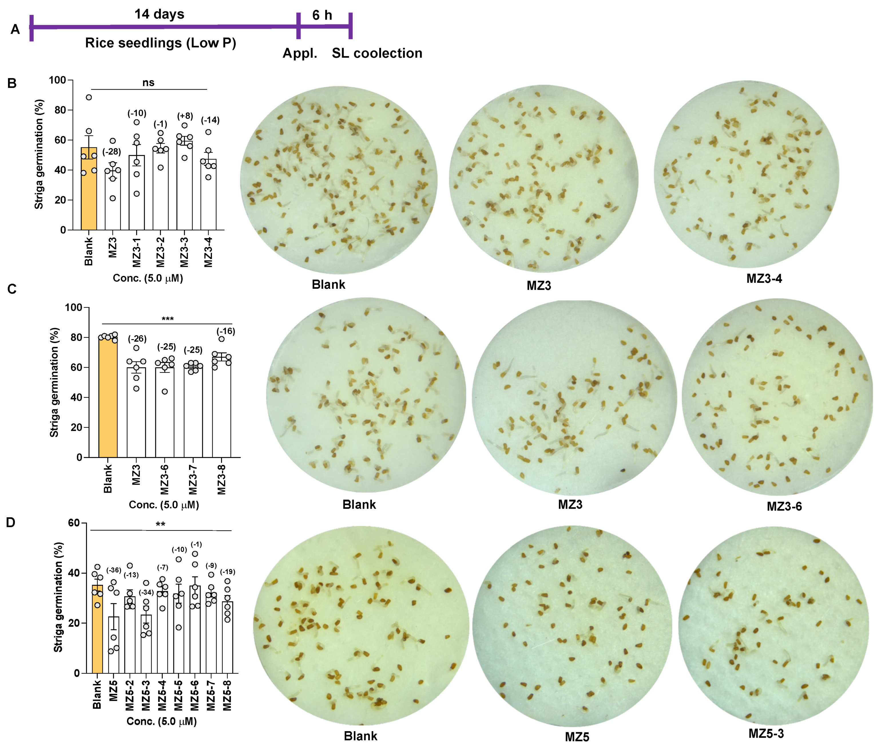 Biomolecules 13 01206 g010 Biomolecules 13 01206 g010